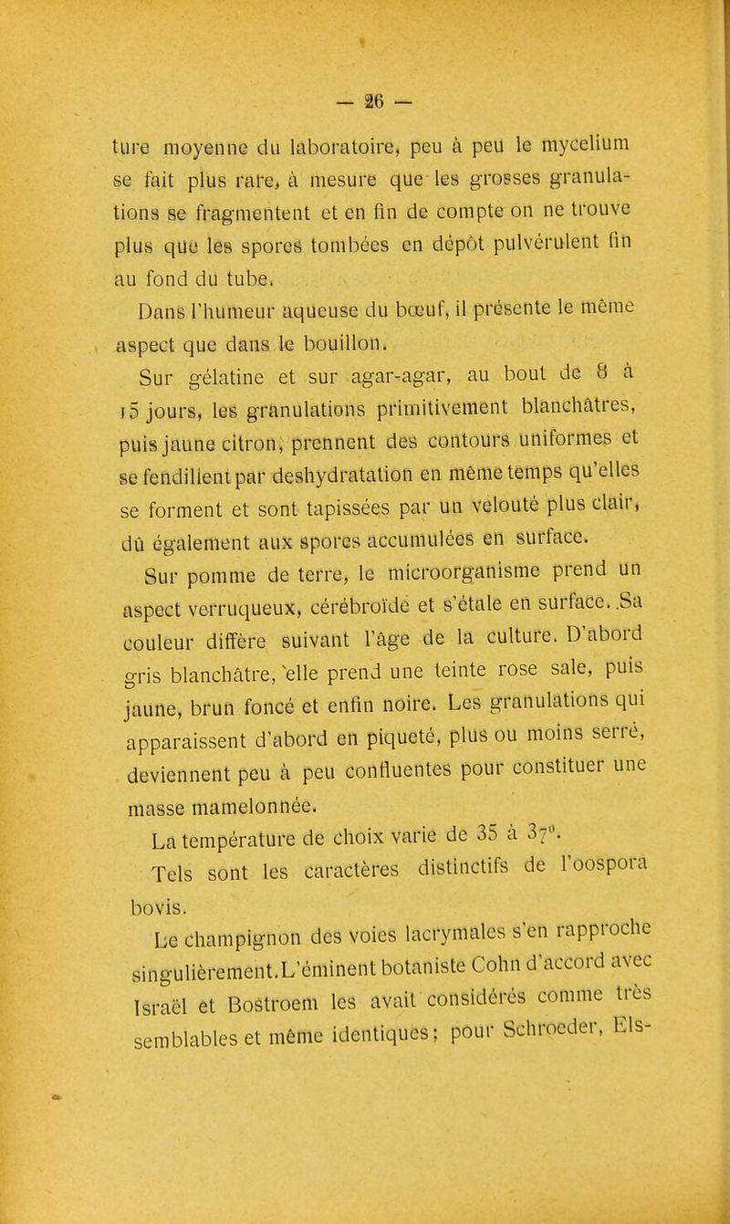 ture moyenne du laboratoire, peu à peu le mycélium se fait plus rare^ à mesure que les grosses granula- tions se fragmentent et en fin de compte on ne trouve plus que les spores tombées en dépôt pulvérulent fin au fond du tube. Dans l'humeur aqueuse du bœuf, il présente le même aspect que dans le bouillon. Sur gélatine et sur agar-agar, au bout de 8 à 15 jours, leë granulations primitivement blanchâtres, puis jaune citron, prennent des contours uniformes et sefetidillentpar déshydratation en même temps qu'elles se forment et sont tapissées par un velouté plus clair, dû également aux spores accumulées en surface. Sur pomme de terre, le microorganisme prend un aspect ve-rruqueux, cérébroïde et s'étale en surface..Sa couleur diffère suivant l'âge de la culture. D'abord gris blanchâtre, elle prend une teinte rose sale, puis jaune, brun foncé et enfin noire. Les granulations qui apparaissent d'abord en piqueté, plus ou moins serré, deviennent peu à peu confluentes pour constituer une niasse mamelonnée. La température de choix varie de 35 à 3f. Tels sont les caractères distinctifs de l'oospora bovis. Le champignon des voies lacrymales s'en rapproche singulièrement.L'éminent botaniste Cohn d'accord avec Israël et Bostroem les avait considérés comme très semblables et même identiques; pour Schroeder, Els-