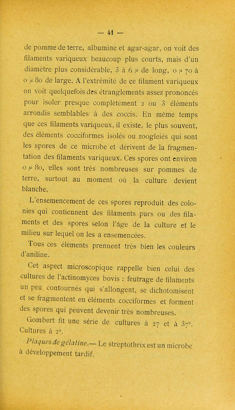 — Ai- de pomme de terre, albumine et agar-agar, on voit des filaments variqueux beaucoup plus courts, mais d'un diamètre plus considérable, 3 à 6. p de long, o 70 à o II 80 de large. A l'extrémité de ce filament variqueux on voit quelquefois des étranglements assez prononcés pour isoler presque complètement 2 ou 3 éléments arrondis semblables à des coccis. En même temps que ces filaments variqueux, il existe, le plus souvent, des éléments cocciformes isolés ou zoogleiés qui sont les spores de ce microbe et dérivent de la fragmen- tation des filaments variqueux. Ces spores ont environ o 80, -elles sont très nombreuses sur pommes de terre, surtout au moment où la culture devient blanche. L'ensemencement de ces spores reproduit des colo- nies qui contiennent des filaments purs ou des fila- ments et des spores selon l'âge de la culture et le milieu sur lequel on les a ensemencées. Tous ces éléments prennent très bien les couleurs d'aniline. Cet aspect microscopique rappelle bien celui des cultures de l'actinomyces bovis : feutrage de filaments un peu contournés qui s'allongent, se dichotomisent et se fragmentent en éléments cocciformes et forment des spores qui peuvent devenir très nombreuses. Gombert fit une série de cultures à 27 et à 37°. Cultures à 2. Plaques de gélatine.- Le streptothrix est un microbe à développement tardif.