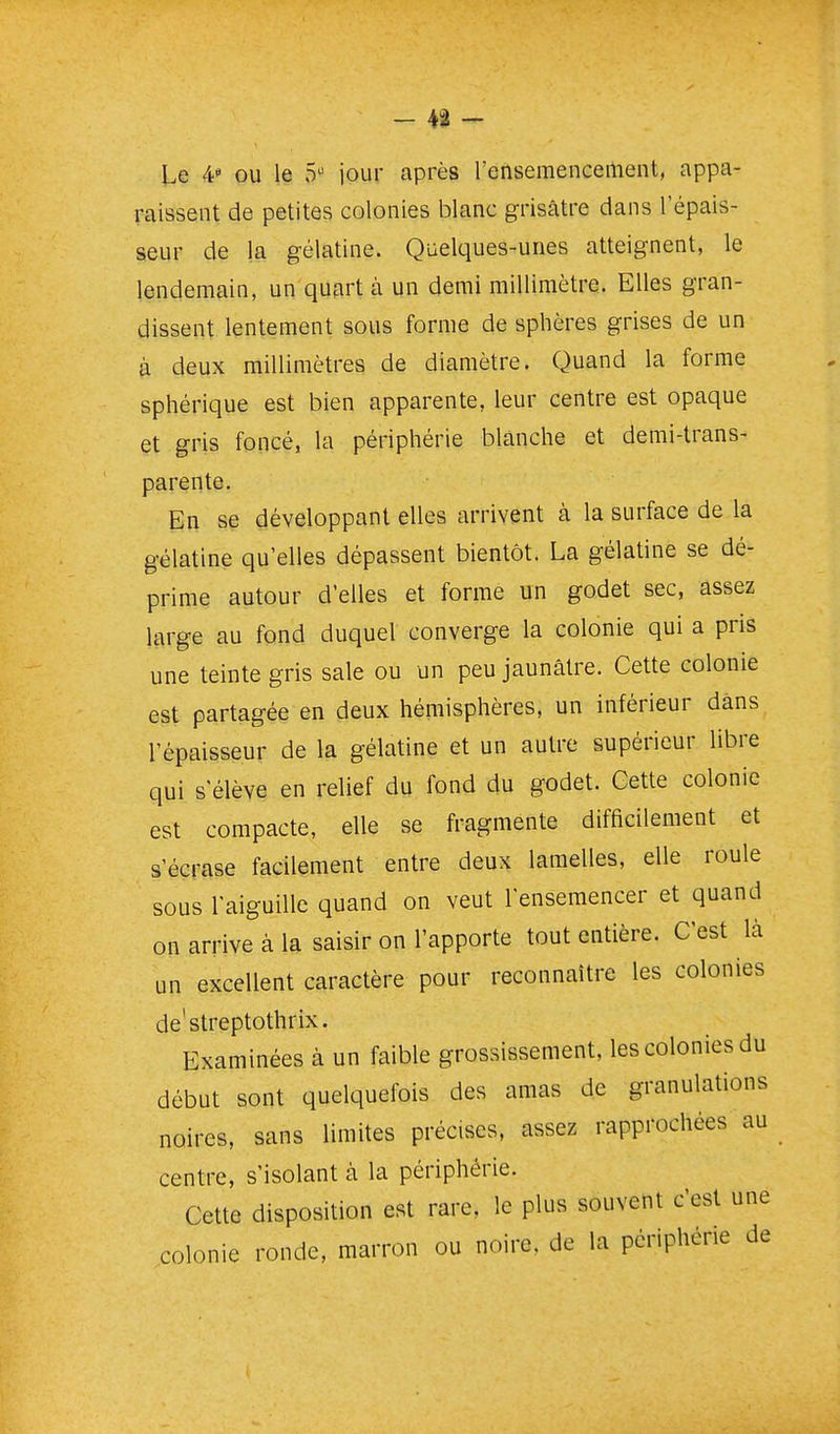 Le 4 ou le 5 jour après l'ensemenceilient, appa- raissent de petites colonies blanc grisâtre dans l'épais- seur de la gélatine. Quelques-unes atteignent, le lendemain, un quart à un demi millimètre. Elles gran- dissent lentement sous forme de sphères grises de un à deux millimètres de diamètre. Quand la forme sphérique est bien apparente, leur centre est opaque et gris foncé, la périphérie blanche et demi-trans- parente. En se développant elles arrivent à la surface de la gélatine qu'elles dépassent bientôt. La gélatine se dé- prime autour d'elles et forme un godet sec, assez large au fond duquel converge la colonie qui a pris une teinte gris sale ou un peu jaunâtre. Cette colonie est partagée en deux hémisphères, un inférieur dans l'épaisseur de la gélatine et un autre supérieur libre qui s'élève en relief du fond du godet. Cette colonie est compacte, elle se fragmente difficilement et s'écrase facilement entre deux lamelles, elle roule sous l'aiguille quand on veut l'ensemencer et quand on arrive à la saisir on l'apporte tout entière. C'est là un excellent caractère pour reconnaître les colonies de'streptothrix. Examinées à un faible grossissement, les colonies du début sont quelquefois des amas de granulations noires, sans limites précises, assez rapprochées au centre, s'isolant à la périphérie. Cette disposition est rare, le plus souvent c'est une colonie ronde, marron ou noire, de la périphérie de