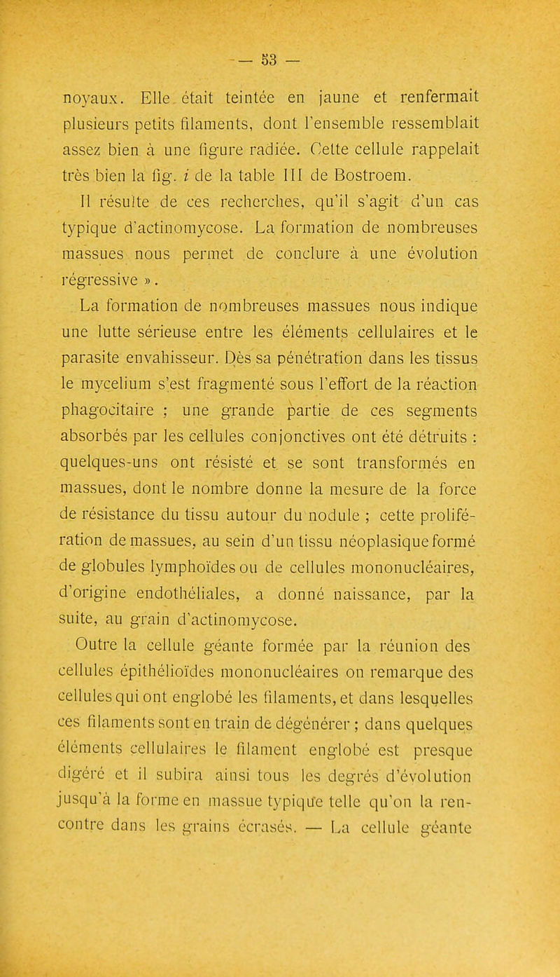noyaux. Elle était teintée en jaune et renfermait plusieurs petits filaments, dont Tensemble ressemblait assez bien à une figure radiée. Cette cellule rappelait très bien la llg. i de la table III de Bostroem. 11 résulte de ces recherches, qu'il s'agit d'un cas typique d'actinomycose. La formation de nombreuses massues nous permet de conclure à une évolution l'égressive ». La formation de nombreuses massues nous indique une lutte sérieuse entre les éléments cellulaires et le parasite envahisseur. Dès sa pénétration dans les tissus le mycélium s'est fragmenté sous l'effort de la réaction phagocitaire ; une grande partie de ces segments absorbés par les cellules conjonctives ont été détruits : quelques-uns ont résisté et se sont transformés en massues, dont le nombre donne la mesure de la force de résistance du tissu autour du nodule ; cette prolifé- ration de massues, au sein d'un tissu néoplasique formé de globules lymphoïdesou de cellules mononucléaires, d'origine endothéliales, a donné naissance, par la suite, au grain d'actinomycose. Outre la cellule géante formée par la réunion des cellules épithélioïdes mononucléaires on remarque des cellules qui ont englobé les filaments, et dans lesquelles ces filaments sont en train de dégénérer ; dans quelques éléments cellulaires le filament englobé est presque digéré et il subira ainsi tous les degrés d'évolution jusqu'à la forme en massue typique telle qu'on la ren- contre dans les grains écrasés. — La cellule géante