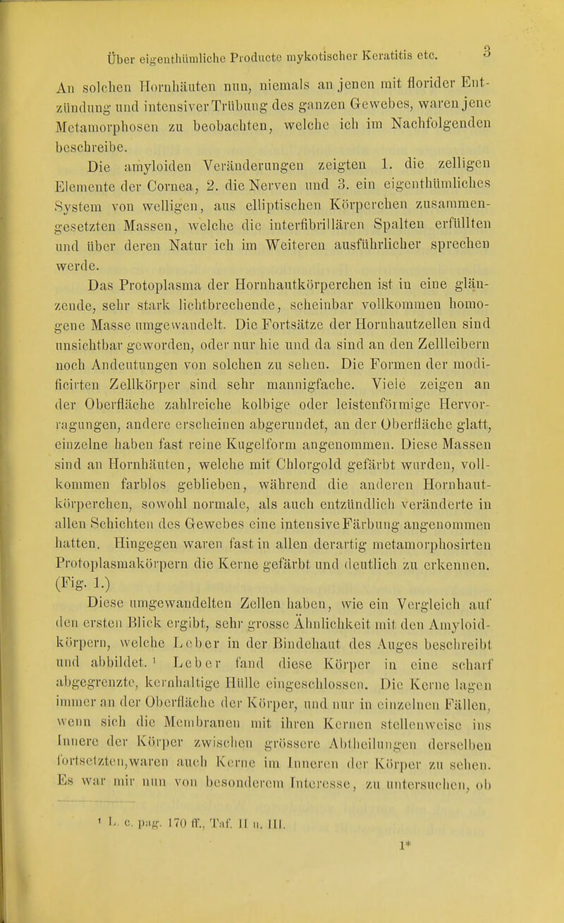 All solchen Honihäiitcn min, niemals an jenen mit florider Ent- zündung und intensiver Trübung des ganzen Gewebes, waren jene Metamorphosen zu beobachten, welche ich im Nachfolgenden beschreibe. Die amyloiden Veränderungen zeigten 1. die zelligen Elemente der Cornea, 2. die Nerven und 3. ein eigenthümlichcs System von welligen, aus elliptischen Körperchen zusammen- gesetzten Massen, welche die interfibrillären Spalten erfüllten und über deren Natur ich im Weiteren ausführlicher sprechen werde. Das Protoplasma der Hornhautkörperchen ist in eine glän- zende, sehr stark lichtbrechende, scheinbar vollkommen homo- gene Masse umgewandelt. Die Fortsätze der Hornhautzellen sind unsichtbar geworden, oder nur hie und da sind an den Zellleiberu noch Andeutungen von solchen zu sehen. Die Formen der modi- ficirteu Zellkörper sind sehr mannigfache. Viele zeigen an der Oberfläche zahlreiche kolbige oder leistenföimige Hervor- ragungen, andere erscheinen abgerundet, an der Oberfläche glatt, einzelne haben fast reine Kugelform angenommen. Diese Massen sind an Hornhäuten, welche mit Chlorgold gefärbt wurden, voll- kommen farblos geblieben, während die anderen Hornhaut- körperchen, sowohl normale, als auch entzündlich veränderte in allen Schichten des Gewebes eine intensive Färbung angenommen hatten. Hingegen waren fast in allen derartig metamorphosirteu Protoplasmakörpern die Kerne gefärbt und deutlich zu erkennen. (Fig. 1.) Diese umgewandelten Zellen haben, wie ein Vergleich auf den ersten Blick ergibt, sehr grosse Ähnlichkeit mit den Amyloid- körpern, welche Lob er in der Bindehaut des .^uges beschreibt und abbildet.' Leber fand diese Körper in eine scharf abgegrenzte, kernhaltige Hülle eingeschlossen. Die Kerne lagen innncr an der Oberfläche der Körper, und nur in einzelnen Fällen, wenn sich die Membranen mit ihren Kernen stellenweise ins Innere der Körper zwischen grössere Abtlieilungen derselben l'ortselzten,waren auch Kerne im Inneren der Körper zu sehen. Es war mir nun von besonderem Interesse, zu untersuchen, ob ' L. c. p;i-. 170 (V., TmT. II II. III. 1*