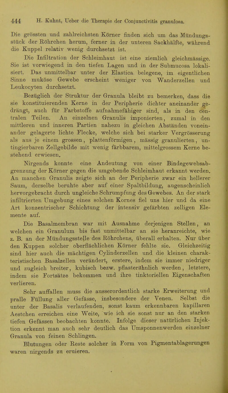 Die grössten und zahlreichsten Körner finden sich um das Mündungs- stück der Röhrchen herum, ferner in der unteren Sackhälfte, während die Kuppel relativ wenig durchsetzt ist. Die Infiltration der Schleimhaut ist eine ziemlich gleichmässige. Sie ist vorwiegend in den tiefen Lagen und in der Submucosa lokali- siert. Das unmittelbar unter der Elastica belegene, im eigentlichen Sinne muköse Gewebe erscheint weniger von Wanderzellen und Leukocyten dtirchsetzt. Bezüglich der Struktur der Granula bleibt zu bemerken, dass die sie konstituierenden Kerne in der Peripherie dichter aneinander ge- drängt, auch für Farbstoffe aufnahmefähiger sind, als in den cen- tralen Teilen. An einzelnen Granulis imponierten, zumal in den mittleren und inneren Partien nahezu in gleichen Abständen vonein- ander gelagerte lichte Mecke, welche sich bei starker Vergrösserung als aus je einem grossen, plattenförmigen, mässig granulierten, un- tingierbaren Zellgebilde mit wenig färbbarem, mittelgrossem Kerne be- stehend erwiesen. Nirgends konnte eine Andeutung von einer Bindegewebsab- grenzung der Körner gegen die umgebende Schleimhaut erkannt werden. An manchen Granulis zeigte sich an der Peripherie zwar ein hellerer Saum, derselbe beruhte aber auf einer Spaltbildung, augenscheinlich hervorgebracht durch ungleiche Schrumpfung des Gewebes. An der stark infiltrierten Umgebung eines solchen Kornes fiel uns hier und da eine Art konzentrischer Schichtung der intensiv gefärbten zelligen Ele- mente auf. Die Basalmembran war mit Ausnahme derjenigen Stellen, an welchen ein Granulum bis fast unmittelbar an sie heranreichte, wie z. B. an der Mündungsstelle des Röhrchens, überall erhalten. Nur über den Kuppen solcher oberflächlichen Körner fehlte sie. Gleichzeitig sind hier auch die mächtigen Cylinderzellen und die kleinen charak- teristischen Basalzellen verändert, erstere, indem sie immer niedriger und zugleich breiter, kubisch bezw. pflasterähnlich werden, letztere, indem sie Portsätze bekommen und ihre tinktoriellen Eigenschaften verlieren. Sehr auffallen muss die ausserordentlich starke Erweiterung und pralle Füllung aller Gefässe, insbesondere der Venen. Selbst die unter der Basalis verlaufenden, sonst kaum erkennbaren kapillaren Aestchen erreichen eine Weite, wie ich sie sonst nur an den starken tiefen Gefässen beobachten konnte. Infolge dieser natürlichen Injek- tion erkennt man auch sehr deutlich das Umsponnenwerden einzelner Granula von feinen Schlingen. Blutungen oder Reste solcher in Form von Pigmentablagerungen waren nirgends zu eruieren.