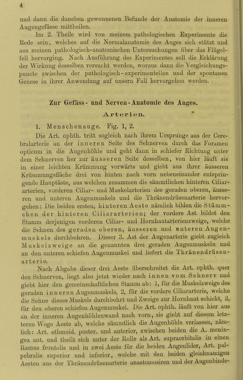 und dann die daneben gewonnenen Befunde der Anatomie der inneren Augengefässe mittlieilen. Im 2. Theile wird von meinem pathologischen Experimente die Rede sein, welches auf die Normalanatomie des Auges sich stützt und aus meinen pathologisch-anatomischen Untersuchungen über das Flügel- fell hervorging. Nach Ausführung des Experimentes soll die Erklärung der Wirkung desselben versucht werden, woraus dann die Vergleichungs- puncte zwischen der pathologisch - experimentellen und der spontanen Genese in ihrer Anwendung auf unsern Fall hervorgehen werden. Zur öet'äss- und Nerven - Anatomie des Auges. Arterien. * 1. Menschenauge. Fig. 1, 2. Die Art. ophth. tritt sogleich nach ihrem Ursprünge aus der Cere- bralarterie an der inneren Seite des Sehnerven dm-ch das Foramen opticum in die Augenhöhle und geht dann in schiefer Richtung unter dem Sehnerven her zur äusseren Seite desselben, von hier läuft sie in einer leichten Krümmung vorwärts und giebt aus ihrer äusseren Krümmungsfläche drei von hinten nach vorn nebeneinander entsprin- gende Hauptäste, aus welchen zusammen die sämmtlichen hinteren Ciliar- arterien, vorderen Ciliar- und Muskelarterien des geraden oberen, äusse- ren und unteren Augenmuskels und die Thränendrüsenarterie hervor- gehen: Die beiden ersten, hinteren Aeste nämlich bilden die Stämm- chen der hinteren Ciliararterien; der vordere Ast bildet den Stamm derjenigen vorderen Ciliar- und Hornhautarterienzweige, welche die Sehnen des geraden oberen, äusseren und unteren Augen- muskels diurchbohren. Dieser 3. Ast der Augenarterie giebt zugleich Muskelzweige an die genannten drei geraden Augenmuskeln und an den unteren schiefen Augenmuskel und liefert die Thränendrüsen- arterie. Nach Abgabe dieser drei Aeste überschreitet die Art. ophth. quer den Sehnerven, liegt also jetzt wieder nach innen vom Sehnerv und giebt hier den gemeinschaftlichen Stamm ab: 1, für die Muskelzweige des geraden i n n e r e n Augenmuskels, 2, für die vordere Ciliararterie, weiche die Sehne dieses Muskels durchbohrt und Zweige zur Hornhaut schickt, 3, für den oberen schiefen Augenmuskel. Die Art. ophth. läuft von hier aus an der inneren Augenhöhleuwand nach vom, sie giebt auf diesem letz- teren Wege Aeste ab, welche sämratlich die Augenhöhle verlassen, näm- lich: Art. ethmoid. poster. und anterior, zwischen beiden die A. menin- gea ant. und theilt sich unter der Rolle als Art. supraorbitalis in einen Ramus frontalis und in zwei Aeste für die beiden Augenlider, Art. pal- pebralis superior und inferior, welche mit den beiden gleichnamigen Aesteu aus der Thränendrüsenarterie anastomosiren und der Augenbmde-