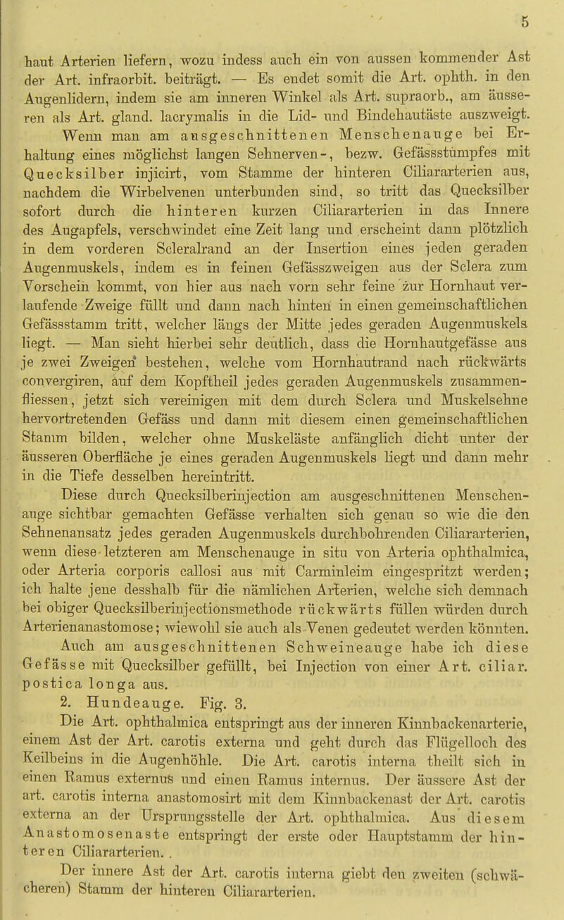 haut Arterien liefern, wozu indess auch ein von aussen kommender Ast der Art. infraorbit. beiträgt. — Es endet somit die Art. ophth. in den Augenlidern, indem sie am inneren Winkel als Art. supraorb., am äusse- ren als Art. gland. lacrymalis in die Lid- und Bindehautäste auszweigt. Wenn man am ausgeschnittenen Menschenauge bei Er- haltung eines möglichst langen Sehnerven-, bezw. Gefässstümpfes mit Quecksilber injicirt, vom Stamme der hinteren Ciliararterien aus, nachdem die WirlDelvenen unterbunden sind, so tritt das Quecksilber sofort durch die hinteren kurzen Ciliararterien in das Innere des Augapfels, verschwindet eine Zeit lang und erscheint dann plötzlich in dem vorderen Scleralrand an der Insertion eines jeden geraden Augenmuskels, indem es in feinen Gefässzweigen aus der Sclera zum Vorschein kommt, von hier aus nach vorn sehr feine zur Hornhaut ver- laufende Zweige füllt und dann nach hinten in einen gemeinschaftlichen Gefässstamm tritt, welcher längs der Mitte jedes geraden Augenmuskels liegt. — Man sieht hierbei sehr deutlich, dass die Hornhautgefässe aus je zwei Zweigen* bestehen, welche vom Hornhautrand nach rückwärts convergiren, äuf dem Kopftheil jedes geraden Augenmuskels zusammen- fliessen, jetzt sich vereinigen mit dem durch Sclera und Muskelsehne hervortretenden Gefäss und dann mit diesem einen gemeinschaftlichen Stamm bilden, welcher ohne Muskeläste anfänglich dicht unter der äusseren Oberfläche je eines geraden Augenmuskels liegt und dann mehr in die Tiefe desselben hereintritt. Diese durch Quecksilberinjection am ausgeschnittenen Menschen- auge sichtbar gemachten Gefässe verhalten sich genau so wie die den Sehnenansatz jedes geraden Augenmuskels durchbohrenden Ciliararterien, wenn diese-letzteren am Menschenauge in situ von Arteria ophthalmica, oder Arteria corporis callosi aus mit Carminleim eingespritzt werden; ich halte jene desshalb für die nämlichen Arterien, welche sich demnach bei obiger Quecksilberinjectionsmethode rückwärts füllen würden durch Arterienanastomose; wiewohl sie auch als Venen gedeutet werden könnten. Auch am ausgeschnittenen Schweineauge habe ich diese Gefässe mit Quecksilber gefüllt, bei Injection von einer Art. ciliar, postica longa aus. 2. Hundeauge. Fig. 3. Die Art. ophthalmica entspringt aus der inneren Kinnbackeuarterie, einem Ast der Art. carotis externa und geht durch das Flügelloch des Keilbeins in die Augenhöhle. Die Art. carotis interna theilt sich in einen Ramus externitS und einen Eamus internus. Der äussere Ast der art. carotis interna anastomosirt mit dem Kinnbackenast der Art. carotis externa an der Ursprungsstelle der Art. ophthalmica. Aus' diesem Anastomosenaste entspringt der erste oder Hauptstamm der hin- teren Ciliararterien. . Der innere Ast der Art. carotis interna giebt den zweiten (schwä- cheren) Stamm der hinteren Ciliararterien.