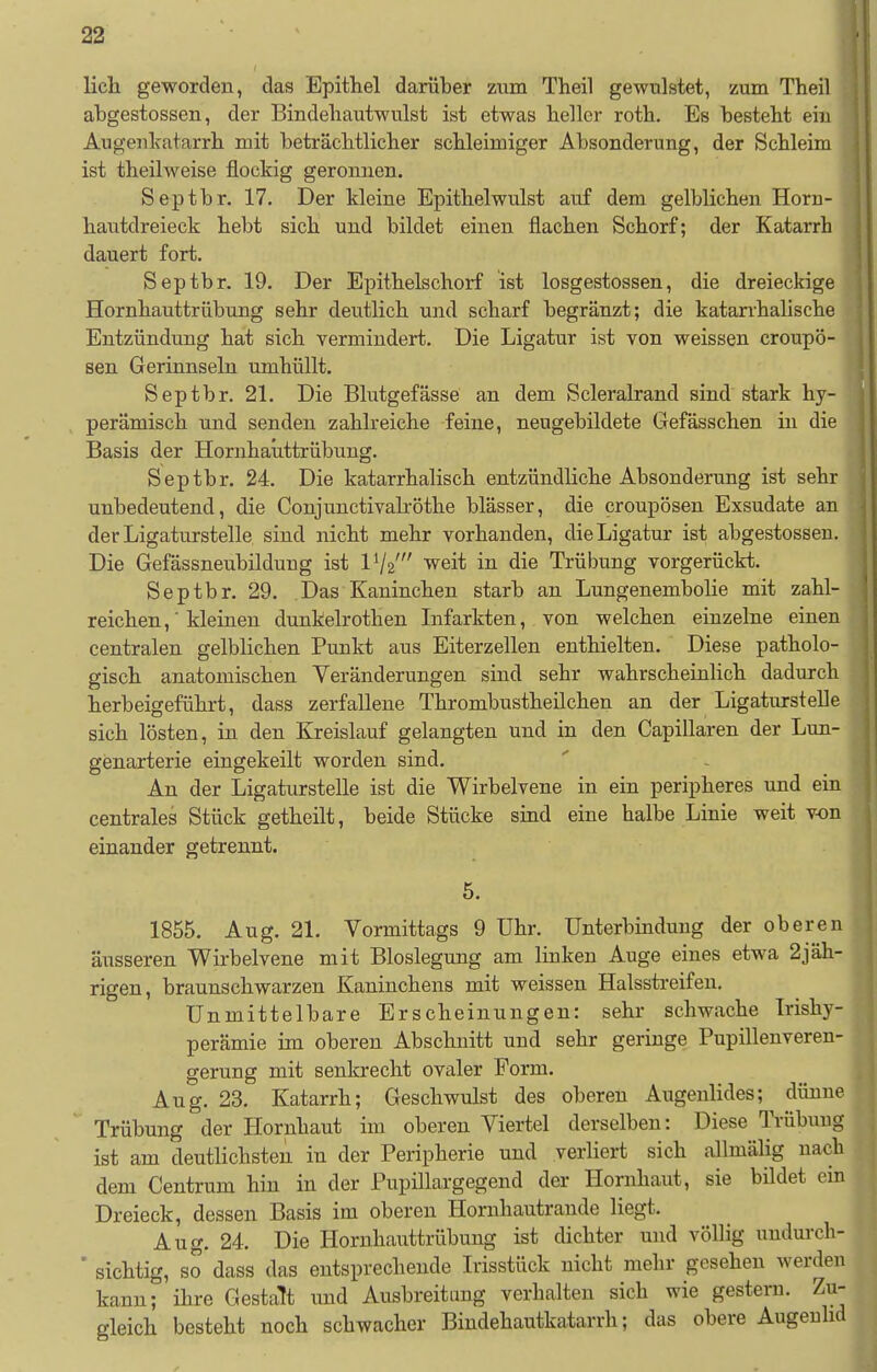 lieh geworden, das Epithel darüber zum Theil gewulstet, zum Theil abgestossen, der Bindehautwulst ist etwas heller roth. Es besteht ein Augenkatarrh mit beträchtlicher schleimiger Absonderung, der Schleim ist theilweise flockig geronnen. Septbr. 17. Der kleine Epitlielwulst auf dem gelblichen Hom- hautdreieck hebt sich und bildet einen flachen Schorf; der Katarrh dauert fort. Septbr. 19. Der Epithelschorf ist losgestossen, die dreieckige Hornhauttrübung sehr deutlich und scharf begränzt; die katarrhalische Entzündung hat sich vermindert. Die Ligatur ist von weissen croupö- sen Gerinnseln umhüllt. Septbr. 21. Die Blutgefässe an dem Scleralrand sind stark hy- perämisch und senden zahlreiche feine, neugebildete Gefässchen in die Basis der Hornhauttrübung. Septbr. 24. Die katarrhalisch entzündliche Absonderung ist sehr unbedeutend, die Conjunetivalröthe blässer, die croupösen Exsudate an der Ligaturstelle sind nicht mehr vorhanden, die Ligatur ist abgestossen. Die Gefässneubilduug ist IV2' weit in die Trübung vorgerückt. Septbr. 29. Das Kaninchen starb an Lungenembolie mit zahl- reichen,' kleinen dunkelrothen Infarkten, von welchen einzelne einen centralen gelblichen Punkt aus Eiterzellen enthielten. Diese patholo- gisch anatomischen Veränderungen sind sehr wahrscheinlich dadurch herbeigeführt, dass zerfallene Thrombustheilchen an der Ligaturstelle sich lösten, in den Kreislauf gelangten und in den Capillaren der Lun- genarterie eingekeilt worden sind. An der Ligaturstelle ist die Wirbelvene in ein peripheres und ein centrales Stück getheilt, beide Stücke sind eine halbe Linie weit v-on einander getrennt. 5. 1855. Aug. 21. Vormittags 9 Uhr. Unterbindung der oberen äusseren Wirbelvene mit Bloslegung am linken Auge eines etwa 2jäh- rigen, braunschwarzen Kaninchens mit weissen Halsstreifen. Unmittelbare Erscheinungen: sehr schwache Trishy- perämie im oberen Abschnitt und sehr geringe Pupillenveren- gerung mit senkrecht ovaler Form. Aug, 23. Katarrh; Geschwulst des oberen Augenlides; dünne Trübung der Hornhaut im oberen Viertel derselben: Diese Trübung ist am deutlichsten in der Peripherie und verliert sich allmälig nach dem Centrum hin in der Pupillargegend der Hornhaut, sie bildet ein Dreieck, dessen Basis im oberen Hornhautraude liegt. Aug. 24. Die Hornhauttrübung ist dichter und völlig undurch- ' sichtig, so dass das entsprechende Irisstück nicht mehr gesehen werden kann; ihre Gestalt und Ausbreitang verhalten sich wie gestern. Zu- gleich besteht noch schwacher Bindehautkatarrh; das obere Augenlid