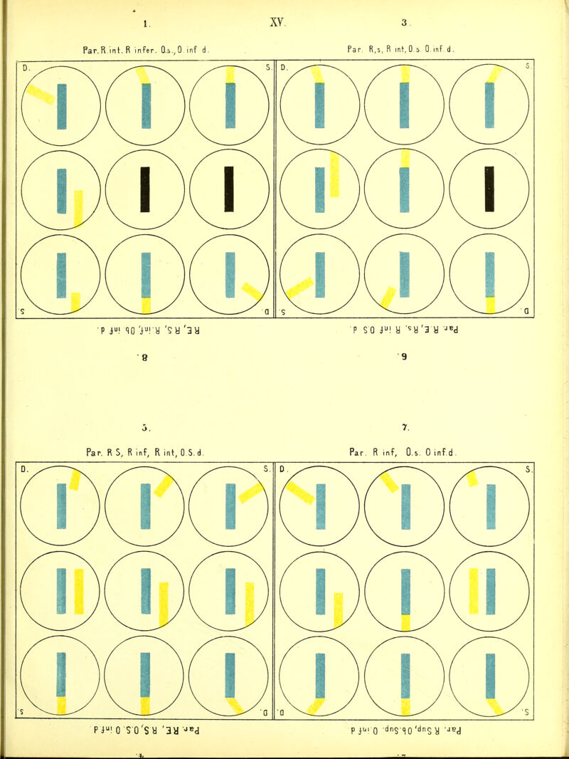 3. Par.R int. R infer. O.s.,0 inf d. Par. R,s, R int.O s, O.inf d. ■9 p so p\ y '«y '3 y ••'«d Par. R S, R Inf, R int, 0 S.d. Par. R mf, O.s. 0 inf.d,