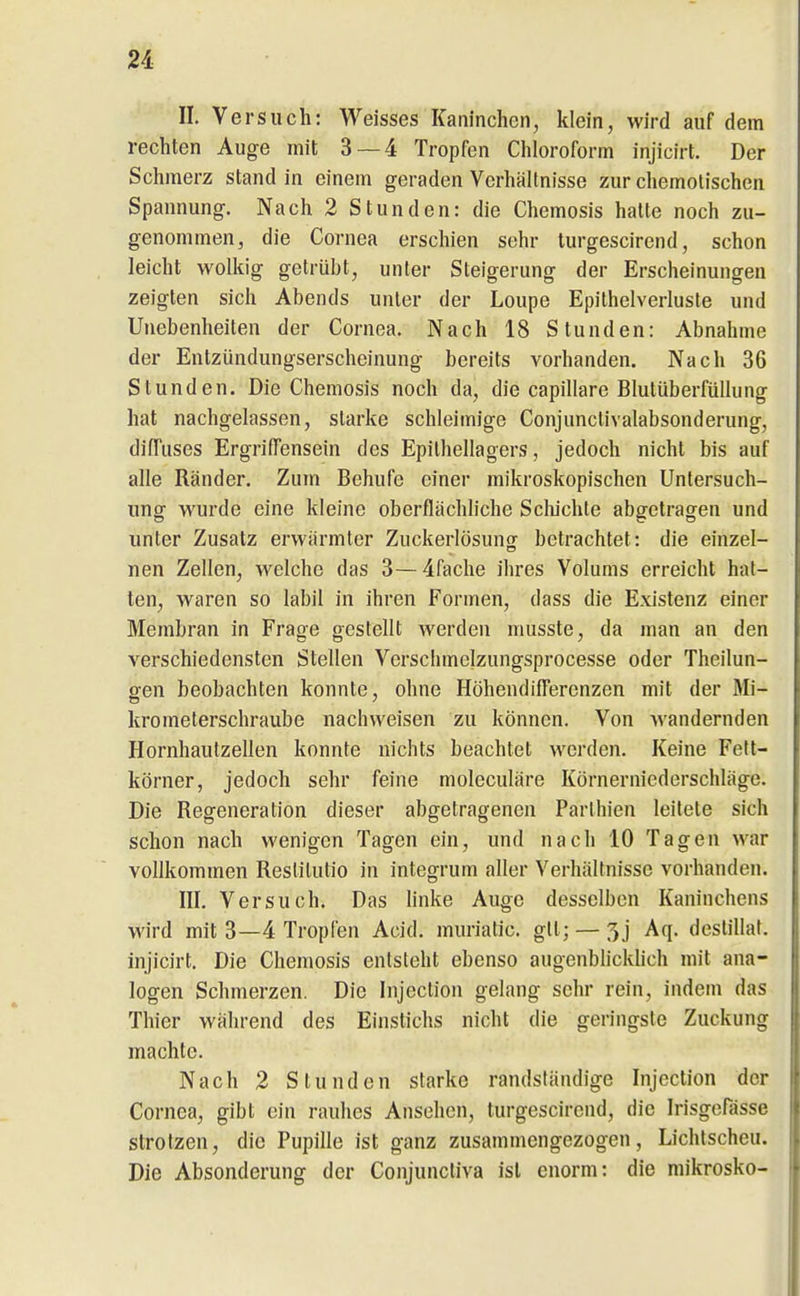 II. Versuch: Weisses Kaninchen, klein, wird auf dem rechten Auge mit 3 — 4 Tropfen Chloroform injicirt. Der Schmerz stand in einem geraden Verhältnisse zur chemotischen Spannung. Nach 2 Stunden: die Chemosis halte noch zu- genommen, die Cornea erschien sehr turgescirend, schon leicht wolkig getrübt, unter Steigerung der Erscheinungen zeigten sich Abends unter der Loupe Epithelverluste und Unebenheileu der Cornea. Nach 18 Stunden: Abnahme der Entzündungserscheinung bereits vorhanden. Nach 36 Stunden. Die Chemosis noch da, die capillare Blutüberfüllung hat nachgelassen, starke schleimige Conjunclivalabsonderung, diffuses Ergriffensein des Epithellagers, jedoch nicht bis auf alle Ränder. Zum Behufe einer mikroskopischen Untersuch- ung wurde eine kleine oberflächliche Scliichte abgetragen und unter Zusatz erwärmter Zuckerlösung betrachtet: die einzel- nen Zellen, welche das 3—4fache ihres Volums erreicht hat- ten, waren so labil in ihren Formen, dass die Existenz einer Membran in Frage gestellt werden musste, da man an den verschiedensten Stellen Verschmelzungsprocesse oder Theilun- gen beobachten konnte, ohne Höhendifferenzen mit der Mi- kromeierschraube nachweisen zu können. Von wandernden Hornhaulzellen konnte nichts beachtet werden. Keine Fett- körner, jedoch sehr feine moleculäre Körnerniederschläge. Die Regeneration dieser abgetragenen Parlhien leitete sich schon nach wenigen Tagen ein, und nach 10 Tagen war vollkommen Restitutio in integrum aller Verhältnisse vorhanden. III. Versuch. Das hnke Auge desselben Kaninchens wird mit 3—4 Tropfen Acid. muriatic. gll; — 5j Aq. destillal. injicirt. Die Chemosis entsteht ebenso augenblicküch mit ana- logen Schmerzen. Die Injection gelang sehr rein, indem das Thier während des Einstichs nicht die geringste Zuckung machte. Nach 2 Stunden starke randständige Injection der Cornea, gibt ein rauhes Ansehen, turgescirend, die Irisgerässe strotzen, die Pupille ist ganz zusammengezogen, Lichtscheu. Die Absonderung der Conjunctiva ist enorm: die mikrosko-