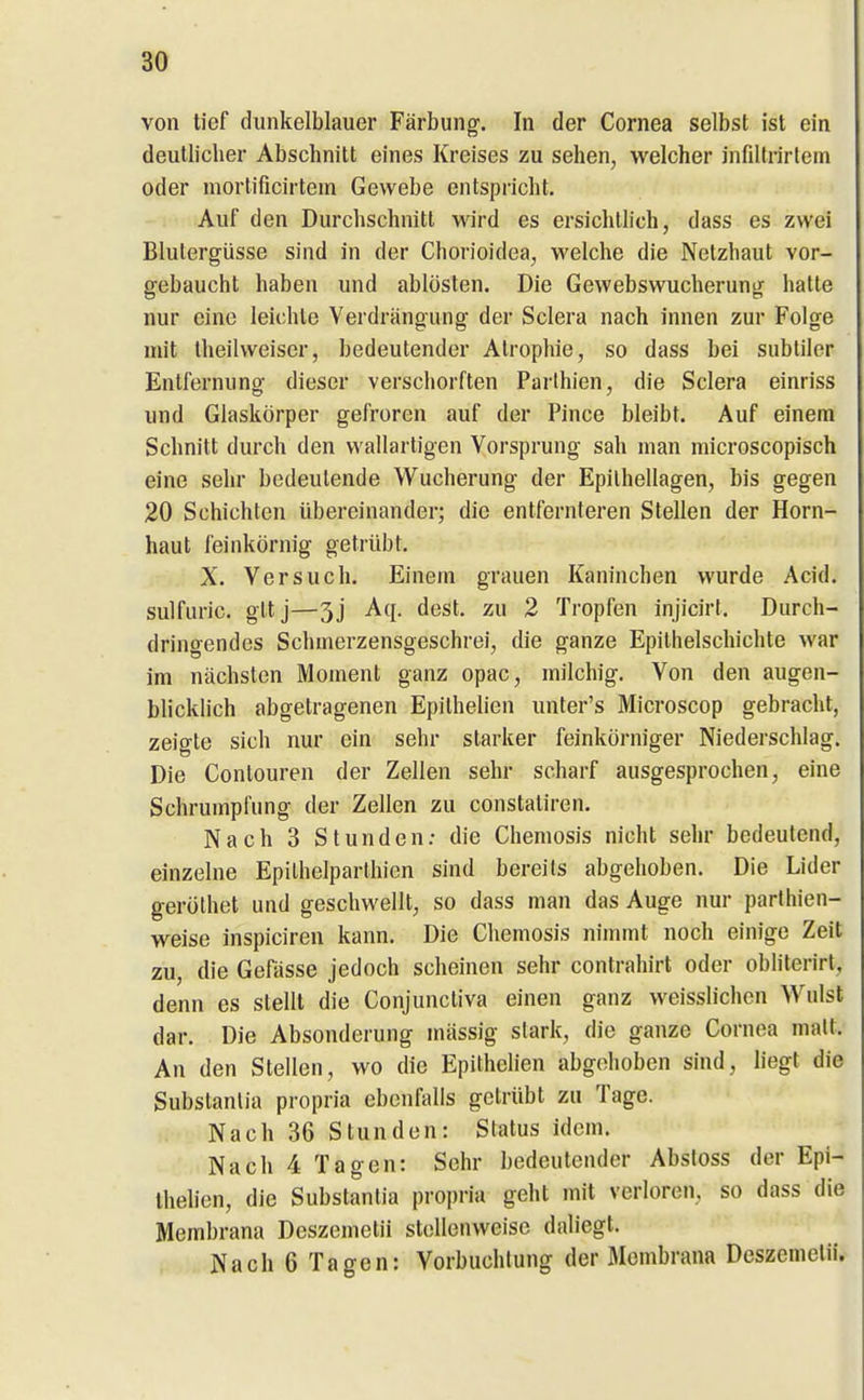 von tief dunkelblauer Färbung. In der Cornea selbst ist ein deutlicher Abschnitt eines Kreises zu sehen, welcher infiltrirtem oder morlificirtem Gewebe entspricht. Auf den Durchschnitt wird es ersichtlich, dass es zwei Blutergüsse sind in der Chorioidea, welche die Netzhaut vor- gebaucht haben und ablösten. Die Gewebswucherung hatte nur eine leichte Verdrängung der Sclera nach innen zur Folge mit theilweiser, bedeutender Atrophie, so dass bei subtiler Entfernung dieser verschorften Parthien, die Sclera einriss und Glaskörper gefroren auf der Pince bleibt. Auf einem Schnitt durch den vvallartigen Vorsprung sah man microscopisch eine sehr bedeutende Wucherung der Epilhellagen, bis gegen 20 Schichten übereinander; die entfernleren Stellen der Horn- haut feinkörnig getrübt. X. Versuch. Einem grauen Kaninchen wurde Acid. sulfuric. gltj—3j A([. dest. zu 2 Tropfen injicirt. Durch- dringendes Schmerzensgeschrei, die ganze Epilhelschichte war im nächsten Moment ganz opac, milchig. Von den augen- blicklich abgetragenen Epilhelien unter's Microscop gebracht, zeigte sich nur ein sehr starker feinkörniger Niederschlag. Die Conlouren der Zellen sehr scharf ausgesprochen, eine Schrumpfung der Zellen zu constaliren. Nach 3 Stunden: die Chemosis nicht sehr bedeutend, einzelne Epilhelparthicn sind bereits abgehoben. Die Lider gerölhet und geschwellt, so dass man das Auge nur parlhien- weise inspiciren kann. Die Chemosis nimmt noch einige Zeit zu, die Gefässe jedoch scheinen sehr contrahirt oder obliterirt, denn es stellt die Conjunctiva einen ganz weisslichen Wulst dar. Die Absonderung massig stark, die ganze Cornea malt. An den Stellen, wo die Epilhelien abgehoben sind, liegt die Substanlia propria ebenfalls getrübt zu Tage. Nach 36 Stunden: Status idcm. Nach 4 Tagen: Sehr bedeutender Absloss der Epi- lhelien, die Substanlia propria geht mit verloren, so dass die Membrana Dcszemetii stellenweise daliegt. Nach 6 Tagen: Yorbuchlung der Membrana Deszemelif.