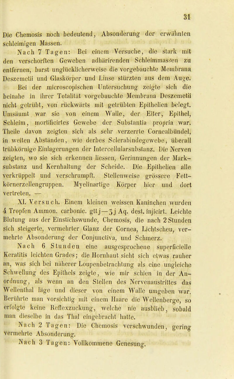 Die Chemosis noch bedeutend, Absonderung der ervvähnlen schleimigen Massen. Nach 7 Tagen: Bei einem Versuche, die stark mit den verschorften Geweben adliärirenden Schleimmas?en zu entfernen, barst unglücklicherweise die vorgebauchte Membrana Deszemetii und Glaskörper und Linse stürzten aus dem Auge. Bei der microscopischen Untersuchung zeigte sich die beinahe in ihrer TotaUlät vorgebauchte Membrana Deszemetii nicht getrübt, von rückwärts mit getrübten EpilheUen belegt. Umsäumt war sie von einem Walle, der Eiter, Epithel, Schleim, mortificirles Gewebe der Substantia propria war. Theile davon zeigten sich als sehr verzerrte Gornealbündel, in weiten Abständen, wie derbes Sclerabindegewebe, überall trübkörnige Einlagerungen der Intercellularsubstanz. Die Nerven zeigten, wo sie sich erkennen hessen, Gerinnungen der Mark- substanz und Kernhaltung der Scheide. Die Epilhelien alle verkrüppelt und verschrumpft. Stellenweise grössere Fett- körnerzellengruppen. Myelinartige Körper hier und dort vertreten. — XI. Versuch. Einem kleinen weissen Kaninchen wurden 4 Tropfen Ammon. carbonic. gttj—5j Aq. dest. injicirt. Leichte Blutung aus der Einstichswunde, Chemosis, die nach 2 Stunden sich steigerte, vermehrter Glanz der Cornea, Lichtscheu, ver- mehrte Absonderung der Conjunctiva, und Schmerz, Nach 6 Stunden eine ausgesprochene superficielle Keratitis leichten Grades; die Hornhaut sieht sich etwas rauher an, was sich bei näherer Loupenbetrachtung als eine ungleiche Schwellung des Epithels zeigte, wie mir schien in der An- ordnung, als wenn an den Stellen des Nervenaustrittes das Wellenthal läge und dieser von einem Walle umgeben war. Berührte man vorsichtig mit einem Haare die Wellenberge, so erfolgte keine Reflexzuckung, welche nie ausblieb, sobald man dieselbe in das Thal eingebracht hatte. Nach 2 Tagen: Die Chemosis verschwunden, gering vermehrte Absonderung. Nach 3 Tagen: Vollkommene Genesung.