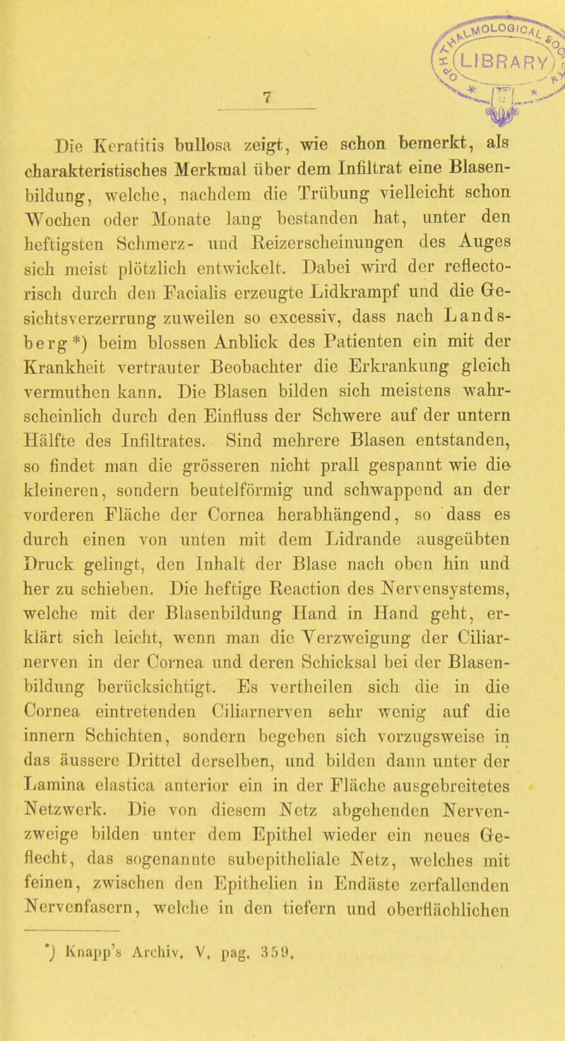 Die Keratitis bullosa zeigt, wie schon bemerkt, als charakteristisches Merkmal über dem Infiltrat eine Blasen- bildung, welche, nachdem die Trübung vielleicht schon Wochen oder Monate lang bestanden hat, unter den heftigsten Schmerz- und Reizerscheinungen des Auges sich meist plötzlich entwickelt. Dabei wird der reflecto- risch durch den Facialis erzeugte Lidkrampf und die Ge- sichtsverzerrung zuweilen so excessiv, dass nach Lands- berg*) beim blossen Anblick des Patienten ein mit der Krankheit vertrauter Beobachter die Erkrankung gleich vermuthen kann. Die Blasen bilden sich meistens wahr- scheinlich durch den Einfluss der Schwere auf der untern Hälfte des Infiltrates. Sind mehrere Blasen entstanden, so findet man die grösseren nicht prall gespannt wie die- kleineren, sondern beuteiförmig und schwappend an der vorderen Fläche der Cornea herabhängend, so dass es durch einen von unten mit dem Lidrande ausgeübten Druck gelingt, den Inhalt der Blase nach oben hin und her zu schieben. Die heftige Reaction des Nervensystems, welche mit der Blasenbildung Hand in Hand geht, er- klärt sich leicht, wenn man die Verzweigung der Ciliar- nerven in der Cornea und deren Schicksal bei der Blasen- bildung berücksichtigt. Es vertheilen sich die in die Cornea eintretenden Ciliarnerven sehr wenig auf die innern Schichten, sondern begeben sich vorzugsweise in das äussere Drittel derselben, und bilden dann unter der Lamina elastica anterior ein in der Fläche ausgebreitetes Netzwerk. Die von diesem Netz abgehenden Nerven- zweige bilden unter dem Epithel wieder ein neues Ge- flecht, das sogenannte subcpithcliale Netz, welches mit feinen, zwischen den Epithelien in Endäste zerfallenden Nervenfasern, welche in den tiefern und oberflächlichen ') Knapp'» Arohiv, V, pag. 359,