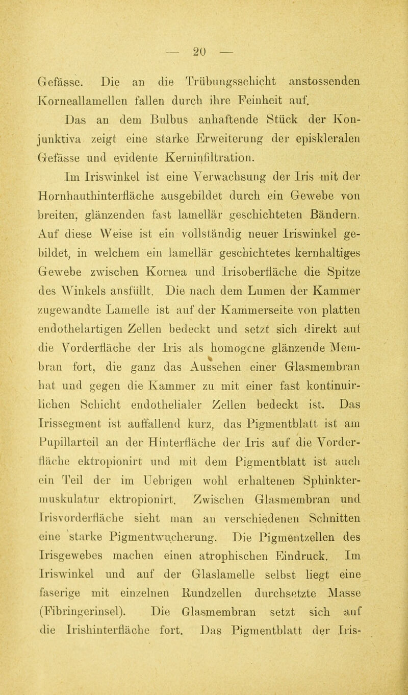 Gefässe. Die an die Trübungsschicht anstossenden Korneallamellen fallen durch ihre Feinheit auf. Das an dem Bulbus anhaftende Stück der Kon- junktiva zeigt eine starke Erweiterung der episkleralen Gefässe und evidente Kerninfiltration. Im Iriswinkel ist eine Verwachsung der Iris mit der Hornhauthinterfläche ausgebildet durch ein Gewebe von breiten, glänzenden fast lamellär geschichteten Bändern. Auf diese Weise ist ein vollständig neuer Iriswinkel ge- bildet, in welchem ein lamellär geschichtetes kernhaltiges Gewebe zwischen Kornea und Irisoberfläche die Spitze des Winkels ausfüllt. Die nach dem Lumen der Kammer zugewandte Lamelle ist auf der Kammerseite von platten endothelartigen Zellen bedeckt und setzt sich direkt auf die Vorderfläche der Iris als homogene glänzende Mem- bran fort, die ganz das Aussehen einer Glasmembran hat und gegen die Kammer zu mit einer fast kontinuir- lichen Schicht endothelialer Zellen bedeckt ist. Das Irissegment ist auffallend kurz, das Pigmentblatt ist am Pupillarteil an der Hinterfläche der Iris auf die Vorder- 11 iiche ektropionirt und mit dem Pigmentblatt ist auch ein Teil der im Uebrigen wohl erhaltenen Sphinkter- in uskulatur ektropionirt. Zwischen Glasmembran und Irisvorderfläche sieht man an verschiedenen Schnitten eine starke Pigmentwucherung. Die Pigmentzellen des Irisgewebes machen einen atrophischen Eindruck. Im Iriswinkel und auf der Glaslamelle selbst liegt eine faserige mit einzelnen Rundzellen durchsetzte Masse (Kibringerinsel). Die Glasmembran setzt sich auf die Irishinterfläche fort. Das Pigmentblatt der Iris-