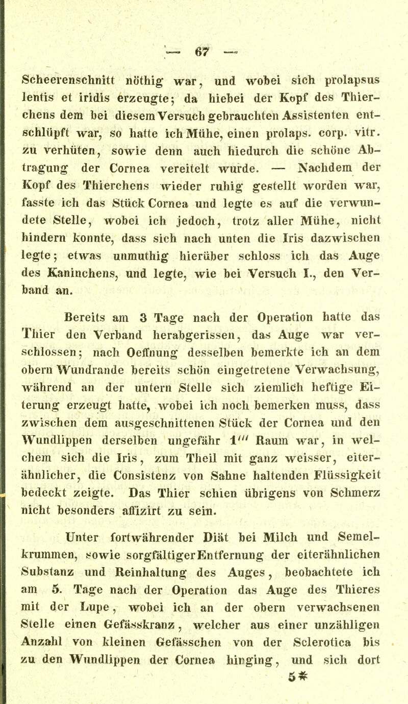 Scheevenschnitt nöthig war, und wobei sich prolapsus lentis et iridis erzeugte; da hiebei der Kopf des Thier- chens dem bei diesem Versuch gebrauchten Assistenten ent- schlüpft war, so hatte ich Mühe, einen prolaps. corp. vitr. zu verhüten, sowie denn auch hiedurch die schöne Ab- tragung der Cornea vereitelt wurde. — Nachdem der Kopf des Thierchens wieder ruhig gestellt worden war, fasste ich das Stück Cornea und legte es auf die verwun- dete Stelle, wobei ich jedoch, trotz aller Mühe, nicht hindern konnte, dass sich nach unten die Iris dazwischen legte 5 etwas unmuthig hierüber schloss ich das Auge des Kaninchens, und legte, wie bei Versuch I., den Ver- band an. Bereits am 3 Tage nach der Operation hatte das Thier den Verband herabgerissen, das Auge war ver- schlossen; nach Oeffnung desselben bemerkte ich an dem obern Wundrande bereits schön eingetretene Verwachsung, während an der untern Stelle sich ziemlich heftige Ei- terung erzeugt hatte, wobei ich noch bemerken muss, dass zwischen dem ausgeschnittenen Stück der Cornea und den Wundlippen derselben ungefähr V Raum war, in wel- chem sich die Iris, zum Theil mit ganz weisser, eiter- ähnlicher, die Consistenz von Sahne haltenden Flüssigkeit bedeckt zeigte. Das Thier schien übrigens von Schmerz nicht besonders affizirt zu sein. Unter fortwährender Diät bei Milch und Semel- krummen, sowie sorgfältiger Entfernung der eiterähnlichen Substanz und Reinhaltung des Auges, beobachtete ich am 5. Tage nach der Operation das Auge des Thieres mit der Lupe, wobei ich an der obern verwachsenen Stelle einen Gefässkranz, welcher aus einer unzähligen Anzahl von kleinen Gefässchen von der Sclerotica bis zu den Wundlippen der Cornea hinging, und sich dort 5*