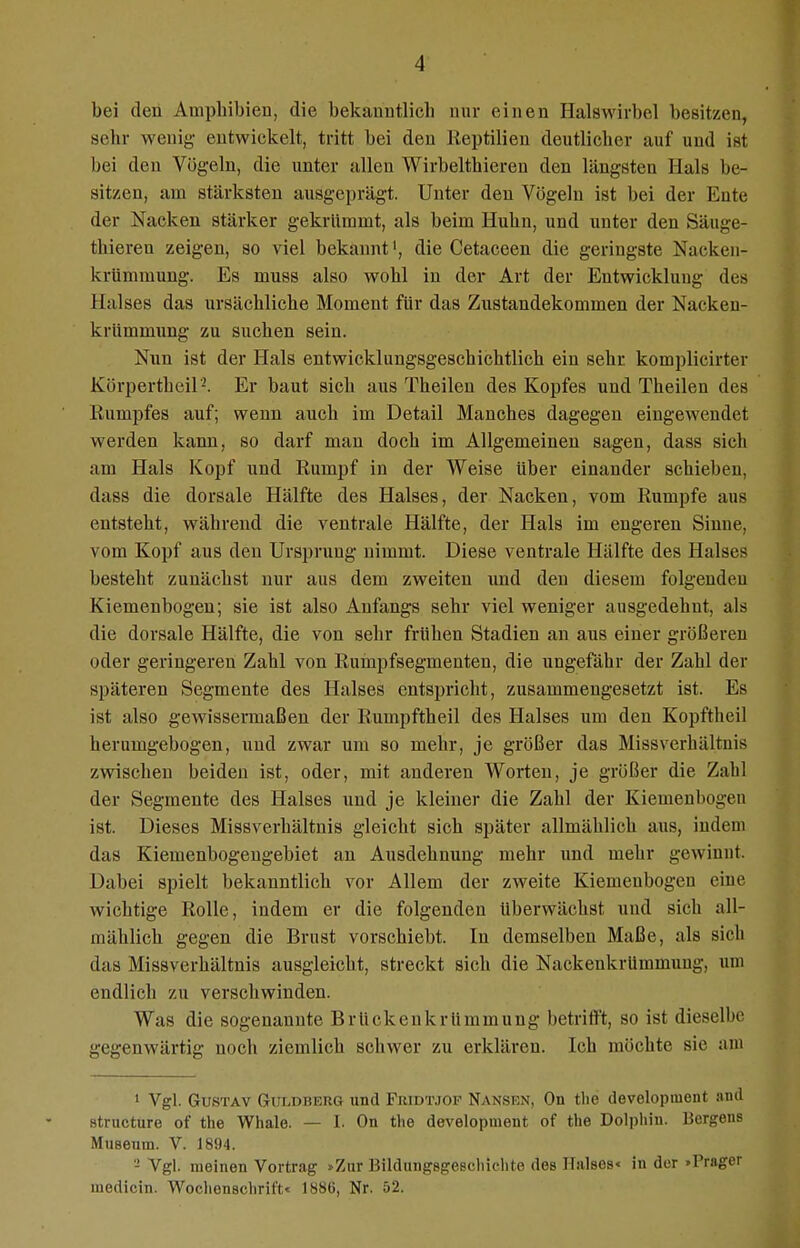 bei den Amphibien, die bekanntlich nur einen Halswirbel besitzen, sehr wenig- entwickelt, tritt bei den Reptilien deutlicher auf und ist bei den Vögeln, die unter allen Wirbelthicren den längsten Hals be- sitzen, am stärksten ausgeprägt. Unter den Vögeln ist bei der Ente der Nacken stärker gekrümmt, als beim Huhn, und unter den Säuge- tliiereu zeigen, so viel bekannt1, die Cetaceen die geringste Nackeri- krümmung. Es muss also wohl in der Art der Entwicklung des Halses das ursächliche Moment für das Zustandekommen der Nacken- krümmung zu suchen sein. Nun ist der Hals entwicklungsgeschichtlich ein sehr komplicirter Körpertkeil'2. Er baut sich aus Theilen des Kopfes und Theilen des Rumpfes auf; wenn auch im Detail Manches dagegen eingewendet werden kann, so darf man doch im Allgemeinen sagen, dass sich am Hals Kopf und Rumpf in der Weise Uber einander schieben, dass die dorsale Hälfte des Halses, der Nacken, vom Rumpfe aus entsteht, während die ventrale Hälfte, der Hals im engeren Sinne, vom Kopf aus den Ursprung nimmt. Diese ventrale Hälfte des Halses besteht zunächst nur aus dem zweiten und den diesem folgenden Kiemenbogen; sie ist also Anfangs sehr viel weniger ausgedehnt, als die dorsale Hälfte, die von sehr frühen Stadien an aus einer größeren oder geringeren Zahl von Rumpfsegmenten, die ungefähr der Zahl der späteren Segmente des Halses entspricht, zusammengesetzt ist. Es ist also gewissermaßen der Rumpftheil des Halses um den Kopftheil herumgebogen, und zwar um so mehr, je größer das Missverliältnis zwischen beiden ist, oder, mit anderen Worten, je größer die Zahl der Segmente des Halses und je kleiner die Zahl der Kiemenbogen ist. Dieses Missverhältnis gleicht sich später allmählich aus, indem das Kiemenbogengebiet an Ausdehnung mehr und mehr gewinnt. Dabei spielt bekanntlich vor Allem der zweite Kiemenbogen eine Avichtige Rolle, indem er die folgenden überwächst und sich all- mählich gegen die Brust vorschiebt. In demselben Maße, als sich das Missverhältnis ausgleicht, streckt sich die Nackenkrümmung, um endlich zu verschwinden. Was die sogenannte Brlickenkrümmung betrifft, so ist dieselbe gegenwärtig noch ziemlich schwer zu erklären. Ich möchte sie am 1 Vgl. Gustav Guldberg und Fridtjof Nansen, On the developuient and strueture of the Whale. — I. On the developuient of the Dolphin. Bergens Museum. V. 1894. - Vgl. meinen Vortrag >Zur Bildungsgeschichte des Halses« in der »Prager medicin. Wochenschrift« 1880, Nr. 52.