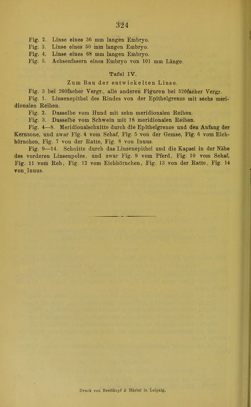 Fig. 2 Fig. 3. Fig. 4, Fig. 5. Linse eines 36 mm langen Embryo. Linse eines 50 mm langen Embryo. Linse eines 68 mm langen Embryo. Achsenfasern eines Embryo von 101 mm Länge. Tafel IV. Zum Bau der entwickelten Linse. Fig. 3 bei 260facher Vergr., alle anderen Figuren bei 520facher Vergr. Fig. 1. Linsenepithel des Eindes von der Epithelgrenze mit sechs meri- dionalen Reihen. Fig. 2. Dasselbe vom Hund mit zehn meridionalen Reihen. Fig. 3. Dasselbe vom Schwein mit 18 meridionalen Reihen. Fig. 4—8. Meridionalschnitte durch die Epithelgrenze und den Anfang der Kernzone, und zwar Fig. 4 vom Schaf, Fig. 5 von der Gemse, Fig. 6 vom Eich- hörnchen, Fig. 7 von der Ratte, Fig. 8 von Inuus. Fig. 9—14. Schnitte durch das Linsenepithel und die Kapsel in der Nähe des vorderen Linsenpoles, und zwar Fig. 9 vom Pferd, Fig. 10 vom Schaf, Fig. 11 vom Reh, Fig. 12 vom Eichhörnchen, Fig. 13 von der Ratte, Fig. 14 von Inuus. Druck von Breitkopf k H&rtel in Leipzig.