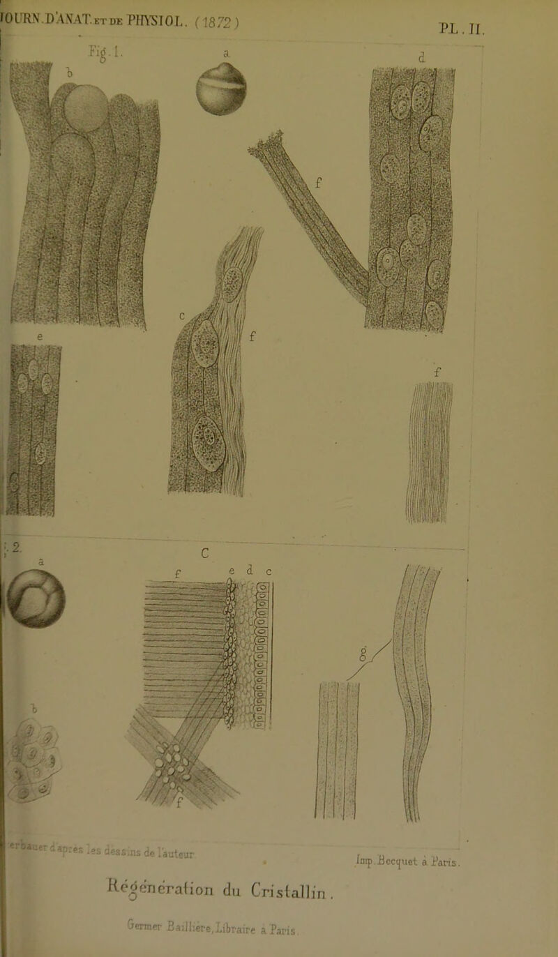 jOURN.DXNAT.etdePHYSIOL. (1872) Régénération du Cristallin. Germer Bailhere,libraire a Paris