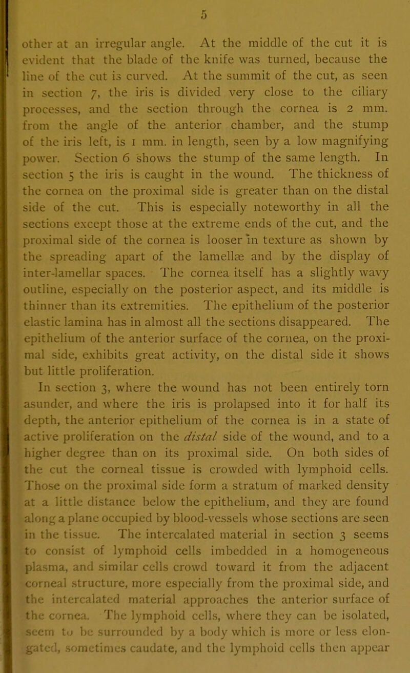 other at an irregular angle. At the middle of the cut it is evident that the blade of the knife was turned, because the line of the cut is curved. At the summit of the cut, as seen in section 7, the iris is divided very close to the ciliary processes, and the section through the cornea is 2 mm. from the angle of the anterior chamber, and the stump of the iris left, is i mm. in length, seen by a low magnifying power. Section 6 shows the stump of the same length. In section 5 the iris is caught in the wound. The thickness of the cornea on the proximal side is greater than on the distal side of the cut. This is especially noteworthy in all the sections except those at the extreme ends of the cut, and the proximal side of the cornea is looser in texture as shown by the spreading apart of the lamellas and by the display of inter-lamellar spaces. The cornea itself has a slightly wavy outline, especially on the posterior aspect, and its middle is thinner than its extremities. The epithelium of the posterior elastic lamina has in almost all the sections disappeared. The epithelium of the anterior surface of the cornea, on the proxi- mal side, exhibits great activity, on the distal side it shows but little proliferation. In section 3, where the wound has not been entirely torn asunder, and where the iris is prolapsed into it for half its depth, the anterior epithelium of the cornea is in a state of active proliferation on the distal side of the wound, and to a higher degree than on its proximal side. On both sides of the cut the corneal tissue is crowded with lymphoid cells. Those on the proximal side form a stratum of marked density at a little distance below the epithelium, and they are found along a plane occupied by blood-vessels whose sections are seen in the tissue. The intercalated material in section 3 seems to consist of lymphoid cells imbedded in a homogeneous plasma, and similar cells crowd toward it from the adjacent corneal structure, more especially from the proximal side, and the intercalated material approaches the anterior surface of the cornea. The lymphoid cells, where they can be isolated, seem tu be surrounded by a body which is more or less elon- gated, sometimes caudate, and the lymphoid cells then appear