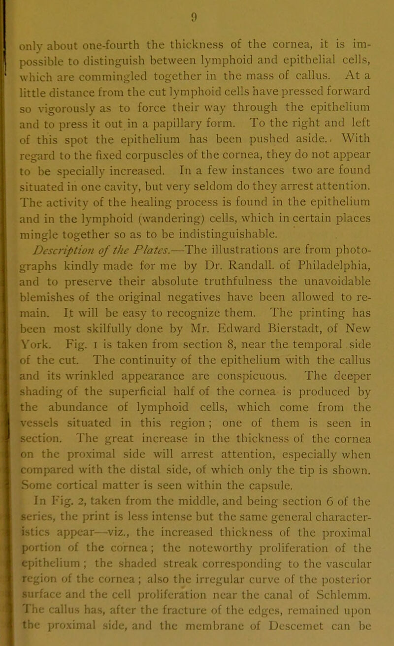only about one-fourth the thickness of the cornea, it is im- possible to distinguish between lymphoid and epithelial cells, which are commingled together in the mass of callus. At a little distance from the cut lymphoid cells have pressed forward so vigorously as to force their way through the epithelium and to press it out in a papillary form. To the right and left of this spot the epithelium has been pushed aside.. With regard to the fixed corpuscles of the cornea, they do not appear to be specially increased. In a few instances two are found situated in one cavity, but very seldom do they arrest attention. The activity of the healing process is found in the epithelium and in the lymphoid (wandering; cells, which in certain places mingle together so as to be indistinguishable. Description of the Plates.—The illustrations are from photo- graphs kindly made for me by Dr. Randall, of Philadelphia, and to preserve their absolute truthfulness the unavoidable blemishes of the original negatives have been allowed to re- main. I.t will be easy to recognize them. The printing has been most skilfully done by Mr. Edward Bierstadt, of New York. Fig. i is taken from section 8, near the temporal side of the cut. The continuity of the epithelium with the callus and its wrinkled appearance are conspicuous. The deeper shading of the superficial half of the cornea is produced by the abundance of lymphoid cells, which come from the vessels .situated in this region ; one of them is seen in section. The great increase in the thickness of the cornea on the proximal side will arrest attention, especially when compared with the distal side, of which only the tip is shown. Some cortical matter is seen within the capsule. In Fig, 2, taken from the middle, and being section 6 of the series, the print is less intense but the same general character- istics appear—viz., the increased thickness of the proximal portion of the cornea; the noteworthy proliferation of the epithelium ; the shaded streak corresponding to the vascular region of the cornea; also the irregular curve of the posterior .surface and the cell proliferation near the canal of Schlemm. The callus has, after the fracture of the edges, remained upon ibe pro,\imal side, and the membrane of Descemet can be