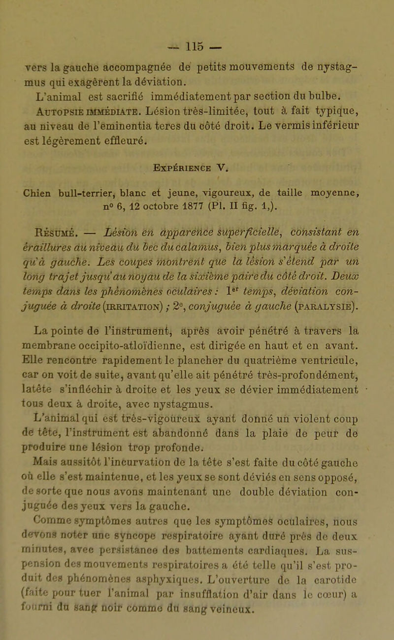 vers la gauche accompagnée de petits mouvements de nystag- mus qui exagèrent la déviation. L'animal est sacrifié immédiatement par section du bulbe. Autopsie IMMÉDIATE. Lésion très-limitée, tout à fait typique, au niveau de l'eminentia teres du côté droit. Le vermis inférieur est légèrement effleuré. Expérience V. Chien bull-terrier, blanc et jeune, vigoureux, de taille moyenne, n° 6, 12 octobre 1877 (Pl. II fig. 1,). RÉSUMÉ. — Lésion en dpparéHce super/îcielle, consistant en éraillures du niveau du bec du calamus, bien plus marquée à droite qu'à gauche. Les coupes monti'ent que la lésion s'étend par un long trajet jusqiCau noyau de la sixième paire du côté droit. Deux temps dans les phénomènes oculaires : 1*' temps, déviation con- juguée à c?roîte (irritation) ; 2°, conjuguée à gauche (paralysie). La pointe de l'instrument, après avoir pénétré à travers la membrane occipito-atloïdienne, est dirigée en haut et en avant. Elle rencontre rapidement le plancher du quatrième ventricule, car on voit de suite, avant qu'elle ait pénétré très-profondément, latête s'infléchir à droite et les yeux se dévier immédiatement tous deux à droite, avec nystagmus. L'animal qui est très-vigoùreux ayant donné uii violent coup de tête, l'instrument est abandonné dans la plaie de peur de produire une lésion trop profonde. Mais aussitôt l'incurvation de la tête s'est faite du côté gauche où elle s'est maintenue, et les yeux se sont déviés eu sens opposé, de sorte que nous avons maintenant une double déviation con- juguée des yeux vers la gauche. Comme symptômes autres que les symptômes oculaires, nous devons noter une syncope respiratoire ayant duré près de deux minutes, avec persistance des battements cardiaques. La sus- pension des mouvements respiratoires a été telle qu'il s'est pro- duit des phénomènes asphyxiques. L'ouverture de la carotide (faite pour tuer l'animal par insufflation d'air dans le cœur) a fourni du sanpr noir comme dû sang veineux.