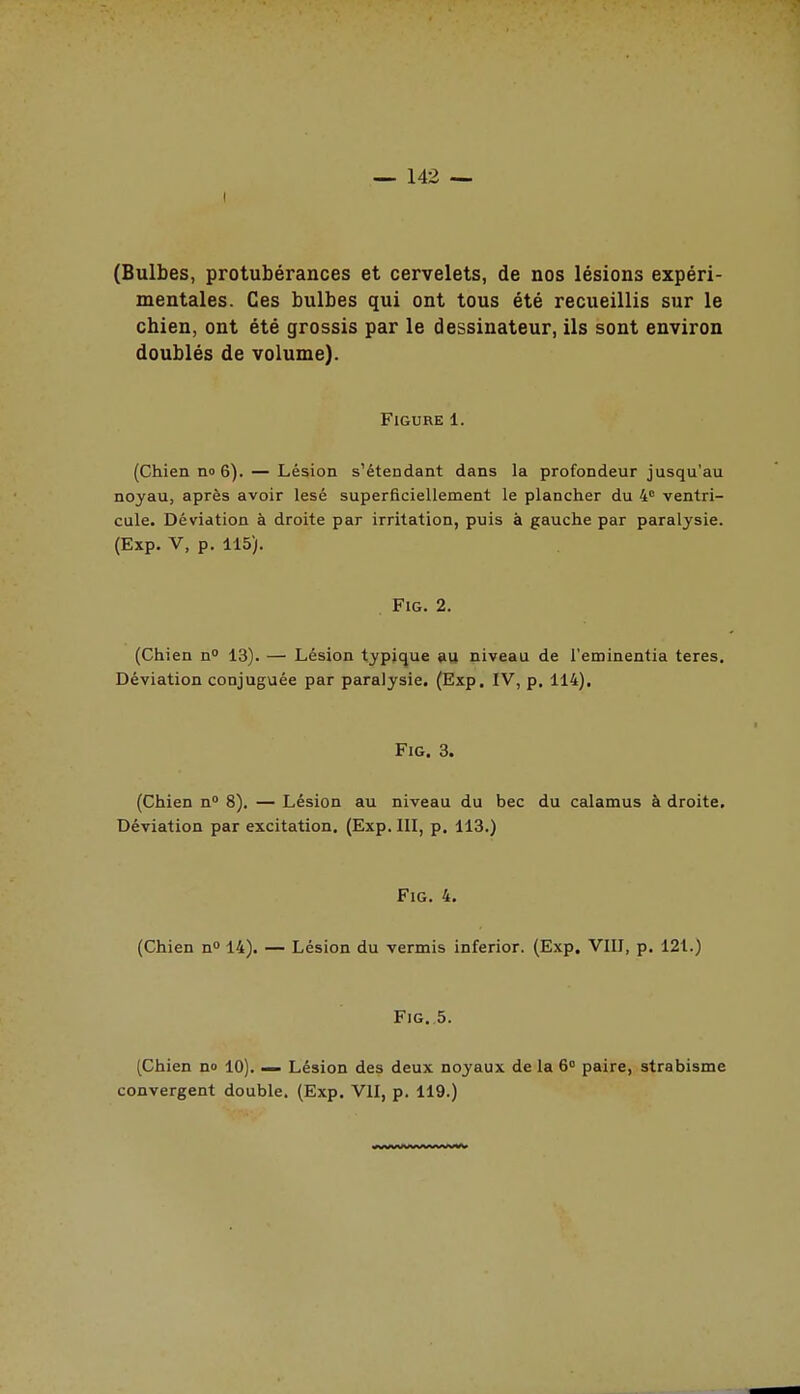 I ~ 142 — (Bulbes, protubérances et cervelets, de nos lésions expéri- mentales. Ces bulbes qui ont tous été recueillis sur le chien, ont été grossis par le dessinateur, ils sont environ doublés de volume). Figure 1. (Chien no 6). — Lésion s'étendant dans la profondeur jusqu'au noyau, après avoir lésé superficiellement le plancher du 4'' ventri- cule. Déviation à droite par irritation, puis à gauche par paralysie. (Exp. V, p. 115). . FiG. 2. (Chien n 13). — Lésion typique au niveau de l'eminentia teres. Déviation conjuguée par paralysie. (Exp. IV, p. 114). FiG. 3. (Chien n 8), — Lésion au niveau du bec du calamus à droite. Déviation par excitation. (Exp. 111, p. 113.) FiG. 4. (Chien n 14). — Lésion du vermis inferior. (Exp. VIII, p. 121.) FiG. 5. (Chien no 10). — Lésion des deux noyaux de la 6 paire, strabisme convergent double. (Exp. VII, p. 119.)