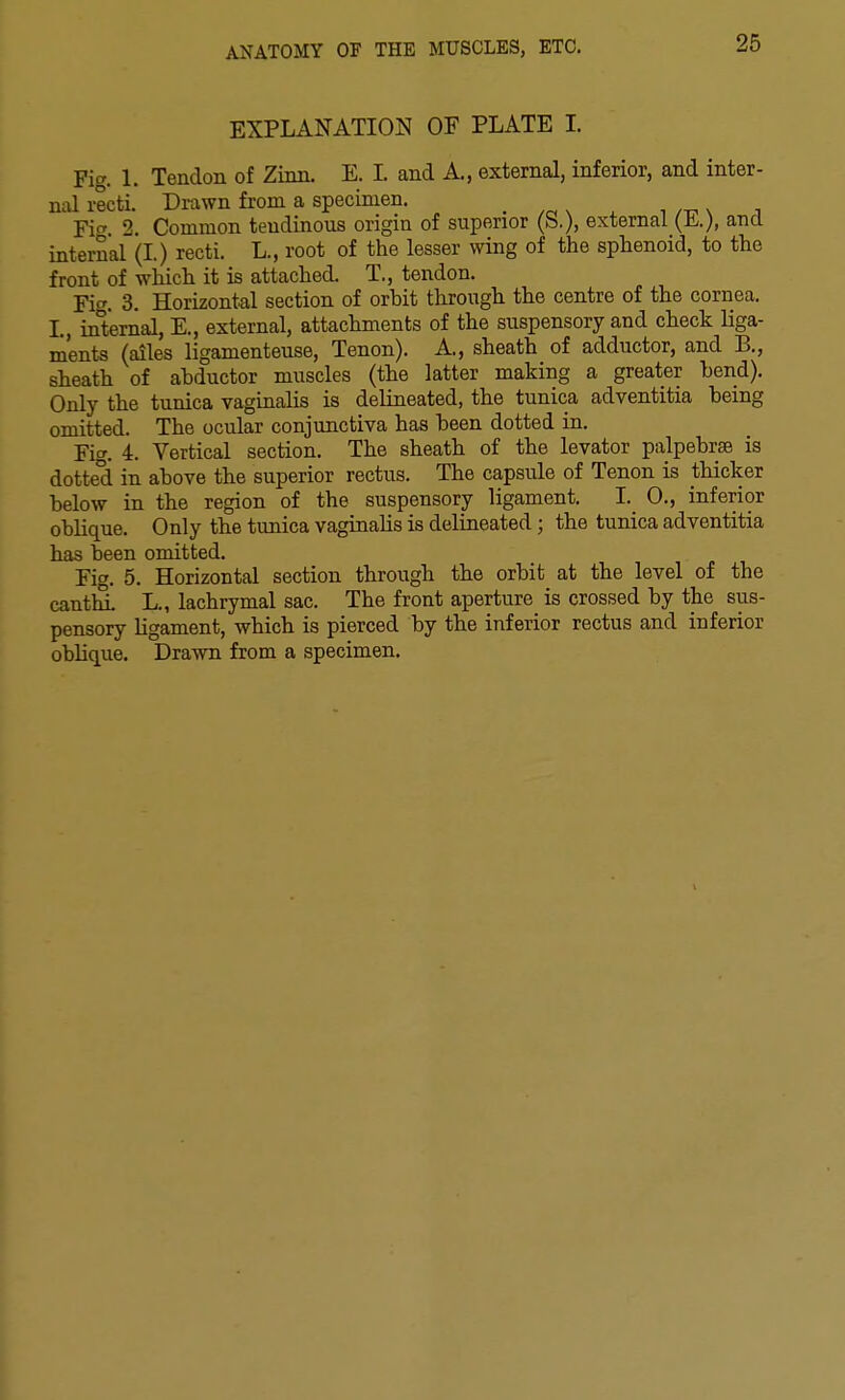 EXPLANATION OF PLATE 1. Fig. 1. Tendon of Zinn. E. L and A., external, inferior, and inter- nal recti. Drawn from a specimen. . ^ x w-p x j Fi. 2. Common tendinous origin of superior (S.), external (J^..), and internal (I) recti. L., root of the lesser wing of the sphenoid, to the front of which it is attached. T., tendon. Fi. 3. Horizontal section of orbit through the centre of the cornea. I., internal, E., external, attachments of the suspensory and check liga- ments (ailes ligamenteuse. Tenon). A,, sheath of adductor, and B., sheath of abductor muscles (the latter making a greater bend). Only the tunica vaginalis is delineated, the tunica adventitia being omitted. The ocular conjunctiva has been dotted in. Fit'. 4. Vertical section. The sheath of the levator palpebrse is dotted in above the superior rectus. The capsule of Tenon is thicker below in the region of the suspensory ligament. I. 0., inferior oblique. Only the tunica vaginahs is delineated; the tunica adventitia has been omitted. Fig. 5. Horizontal section through the orbit at the level of the cantlu. L., lachrymal sac. The front aperture is crossed by the sus- pensory ligament, which is pierced by the inferior rectus and inferior oblique. Drawn from a specimen.