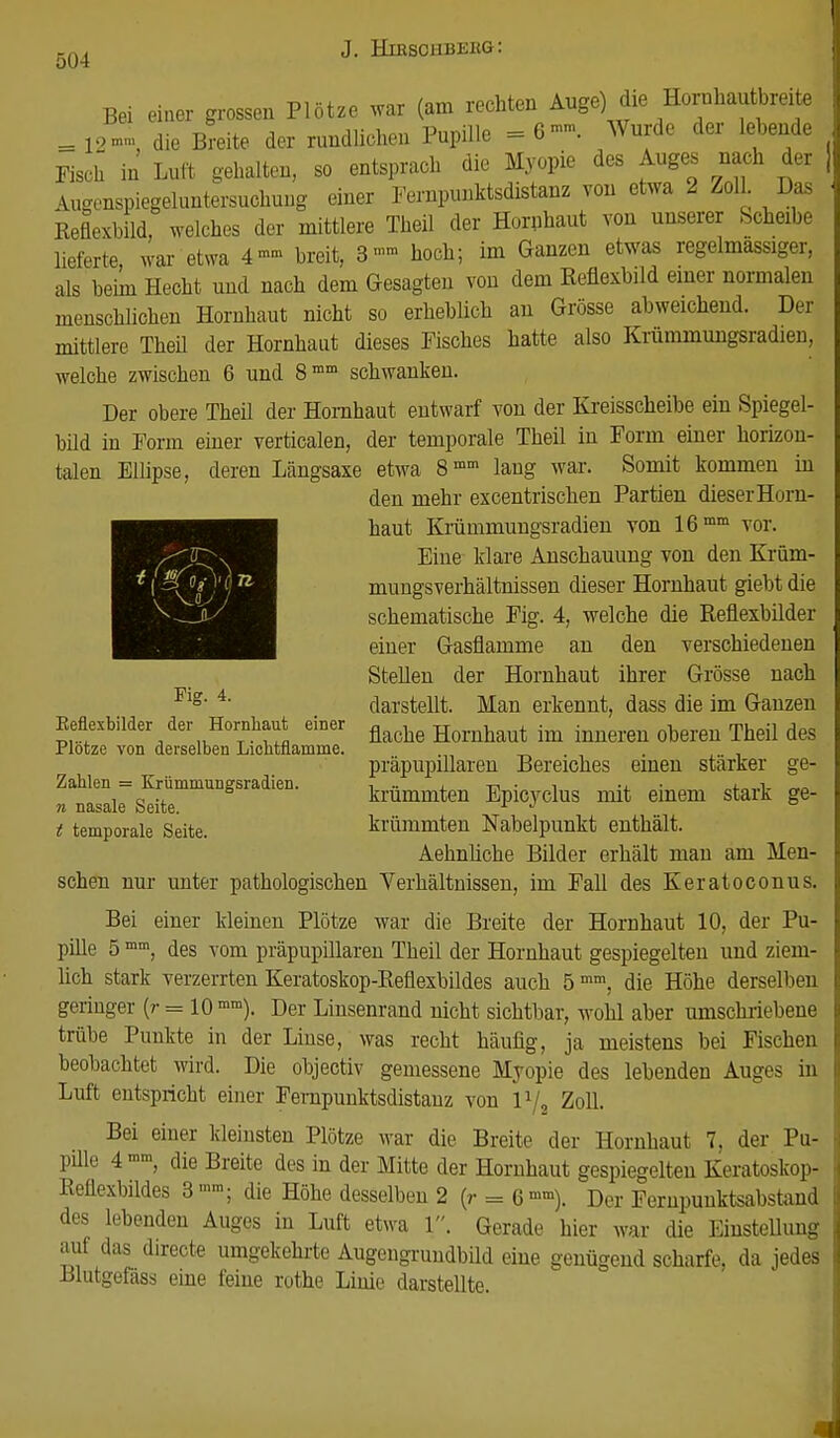 5Q4 J. Hiesohbeug: Bei einer grossen Plötze war (am rechten Auge) die Hornhautbreite = 12-, die Breite der rundlichen Pupille -8«. Wurde der lebende Fisch in Luft gehalten, so entsprach die Myopie des Auges nach der iugenspiegeluntersuchung einer Fempunktsdistanz von etwa 2 Zoll Das Keflexbild, welches der mittlere Theü der Hornhaut von unserer Scheibe lieferte, war etwa 4»» breit, 3»» hoch; im Ganzen etwas regelmassiger, als beim Hecht und nach dem Gesagten von dem Reflexbild einer normalen menschlichen Hornhaut nicht so erheblich an Grösse abweichend. Der mittlere Theü der Hornhaut dieses Fisches hatte also Krümmungsradien, welche zwischen 6 und 8mm schwanken. Der obere Theü der Hornhaut entwarf von der Kreisscheibe ein Spiegel- büd in Form einer verticalen, der temporale Theil in Form einer horizon- talen Ellipse, deren Längsaxe etwa 8mm laug war. Somit kommen in den mehr excentrischen Partien dieser Horn- haut Krümmungsradien von 16mm vor. Eine klare Anschauung von den Krüm- mungsverhältnissen dieser Hornhaut giebt die schematische Fig. 4, welche die Reflexbüder einer Gasflamme an den verschiedenen SteUen der Hornhaut ihrer Grösse nach darstellt. Man erkennt, dass die im Ganzen flache Hornhaut im inneren oberen Theil des präpupillaren Bereiches einen stärker ge- krümmten Epicyclus mit einem stark ge- krümmten Nabelpunkt enthält. Aehnliche Bilder erhält mau am Men- schen nur unter pathologischen Verhältnissen, im Fall des Keratoconus. Bei einer kleinen Plötze war die Breite der Hornhaut 10, der Pu- püle 5 mm, des vom präpupillaren Theil der Hornhaut gespiegelten und ziem- lich stark verzerrten Keratoskop-Reflexbildes auch. 5 mm, die Höhe derselben geringer (?• = 10 mm). Der Linsenrand nicht sichtbar, wohl aber umschriebene trübe Punkte in der Linse, was recht häufig, ja meistens bei Fischen beobachtet wird. Die objectiv gemessene Myopie des lebenden Auges in Luft entspricht einer Fernpunktsdistanz von llj2 Zoll. Bei einer Ideinsten Plötze war die Breite der Hornhaut 7. der Pu- püle 4 mm, die Breite des in der Mitte der Hornhaut gespiegelten Keratoskop- Reflexbildes 3»«; die Höhe desselben 2 (r = 6mm). Der Fernpuuktsabstand des lebenden Auges in Luft etwa 1. Gerade hier war die Einstellung auf das directe umgekehrte Augengrundbild eine genügend scharfe, da jedes Blutgefäss eine feine rothe Linie darstellte. Fig. 4. Eeflexbilder der Hornhaut einer Plötze von derselben Liolitflamme. Zahlen = Krümmungsradien. n nasale Seite. t temporale Seite.