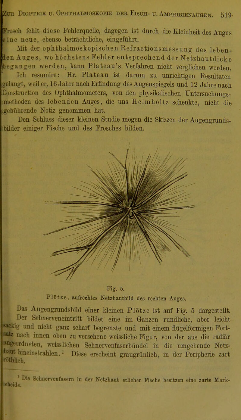 Frosch fehlt diese Fehlerquelle, dagegen ist durch die Kleinheit des Auges eine neue, eheuso beträchtliche, eingeführt. Mit der ophthalmoskopischen Kefractionsmessung des leben- den Auges, wo höchstens Fehler entsprechend der Netzhautdicke begangen werden, kann Plateau's Verfahren nicht verglichen werden. Ich resunüre: Hr. Plateau ist darum zu unrichtigen Kesultaten gelangt, weil er, 16 Jahre nach Erfindung des Augenspiegels und 12 Jahrenach Construction des Ophthalmometers, von den physikalischen Untersuchungs- methoden des lebenden Auges, die uns Helmholtz schenkte, nicht die gebührende Notiz genommen hat. Den Schluss dieser kleinen Studie mögen die Skizzen der Augengrunds- bilder einiger Fische und des Frosches bilden. Fig. 5. Plötze, aufrechtes Netzhautbild des rechten Auges. Das Augengrundsbild einer kleinen Plötze ist auf Fig. 5 dargestellt. Der Sehnerveneintritt bildet eine im Ganzen rundliche, aber leicht ackig und nicht ganz scharf begrenzte und mit einem flügelförmigen Fort- HS« nach innen oben zu versehene weissliche Figur, von der aus die radiär »»geordneten, weisslichen Sehnervenfaserbündel in die umgebende Netz- Haut hineinstrahlen.1 Diese erscheint graugrünlich, in der Peripherie zart ~4hhch. 1 Die Sehnervenfasern in der Netzhaut etlicher Fische besitzen eine zarte Mark- ''-heide.