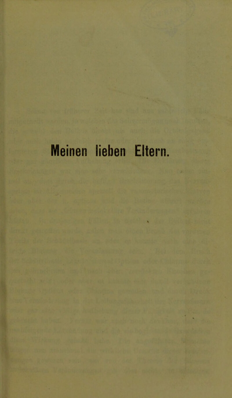 Meinen lieben Eltern.