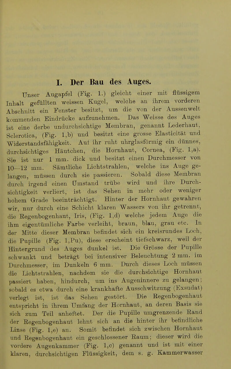 Unser Augapfel (Fig. 1.) gleicht einer mit flüssigem Inhalt gefüllten weissen Kugel, welche an ihrem vorderen Abschnitt ein Fenster besitzt, um die von der Aussen weit kommenden Eindrücke aufzunehmen. Das Weisse des Auges ist eine derbe undurchsichtige Membran, genannt Lederhaut, Sclerotica, (Fig. l,b) und besitzt eine grosse Elasticität und Widerstandsfähigkeit. Auf ihr ruht uhrglasförmig ein dünnes, durchsichtiges Häutchen, die Hornhaut, Cornea, (J'ig. l,a). Sie ist nur 1 mm. dick und besitzt einen Durchmesser von 10—12 mm. Sämtliche Lichtstrahlen, welche ins Auge ge- langen, müssen durch sie passieren. Sobald diese Membran durch irgend einen ümstand trübe wird und ihre Durch- sichtigkeit verliert, ist das Sehen in mehr oder weniger hohem Grade beeinträchtigt. Hinter der Hornhaut gewahren wir, nur durch eine Schicht klaren Wassers von ihr getrennt, die Regenbogenhaut, Iris, (Fig. l,d) welche jedem Auge die ihm eigentümliche Farbe verleiht, braun, blau, grau etc. In der Mitte dieser Membran befindet sich ein kreisrundes Loch, die PupiUe (Fig. l,Pu), diese erscheint tiefschwarz, weil der Hintergrund des Auges dunkel ist. Die Grösse der Pupille schwankt und beträgt bei intensiver Beleuchtung 2 mm. im Durchmesser, im Dunkeln 6 mm. Durch dieses Loch müssen die Lichtstrahlen, nachdem sie die durchsichtige Hornhaut passiert haben, hindurch, um ins Augeninnere zu gelangen; sobald es etwa durch eine krankhafte Ausschwitzung (Exsudat) verlegt ist, ist das Sehen gestört. Die Regenbogenhaut entspricht in ihrem Umfang der Hornhaut, an deren Basis sie sich zum Teil anheftet. Der die Pupille umgrenzende Rand der Regenbogenhaut lehnt sich an die hinter ihr befindliche Linse (Fig. l,e) an. Somit befindet sich zwischen Hornhaut und Regenbogenhaut ein geschlossener Raum; dieser wird die vordere Augenkammer (Fig. l,c) genannt und ist mit einer klaren, durchsichtigen Flüssigkeit, dem s. g. Kammerwasser