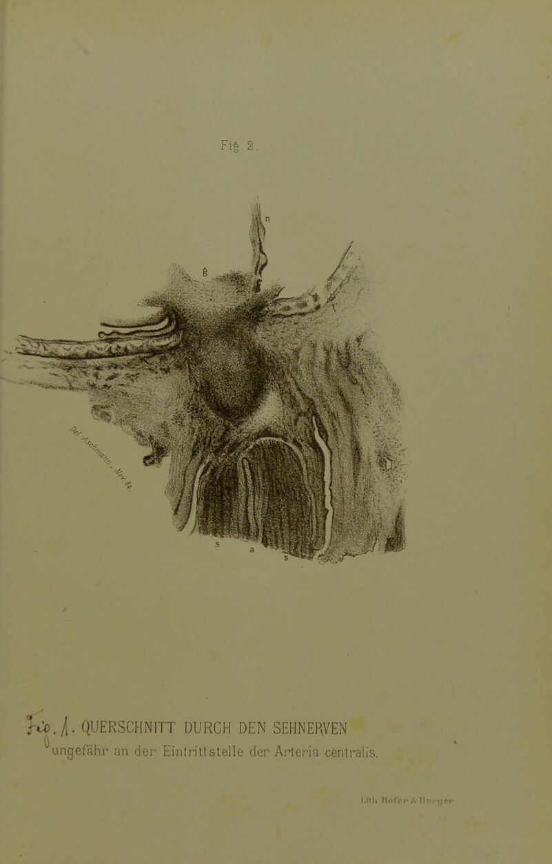 l.itli lliilVl- .V Ilitcyer