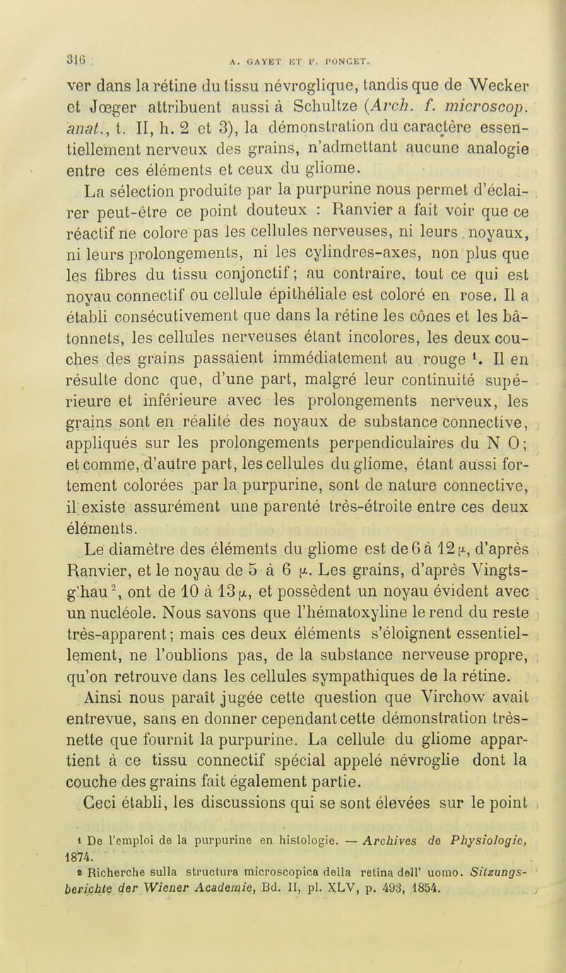 ver dans la rétine du tissu névroglique, tandis que de Wecker et Jœger attribuent aussi à Schultze {Arch. f. microscop. anat., t. II, h. 2 et 3), la démonstration du caractère essen- tiellement nerveux des grains, n'admettant aucune analogie entre ces éléments et ceux du gliome. La sélection produite par la purpurine nous permet d'éclai- rer peut-être ce point douteux : Ranvier a fait voir que ce réactif ne colore pas les cellules nerveuses, ni leurs . noyaux, ni leurs prolongements, ni les cylindres-axes, non plus que les fibres du tissu conjonctif ; au contraire, tout ce qui est noyau connectif ou cellule épithéliale est coloré en rose. Il a établi consécutivement que dans la rétine les cônes et les bâ- tonnets, les cellules nerveuses étant incolores, les deux cou- ches des grains passaient immédiatement au rouge ^ Il en résulte donc que, d'une part, malgré leur continuité supé- rieure et inférieure avec les prolongements nerveux, les grains sont en réalité des noyaux de substance connective, appliqués sur les prolongements perpendiculaires du N 0 ; et comme, d'autre part, les cellules du gliome, étant aussi for- tement colorées par la purpurine, sont de nature connective, il existe assurément une parenté très-étroite entre ces deux éléments. Le diamètre des éléments du gliome est de 6 à 12 h-, d'après Ranvier, et le noyau de 5 à 6 |x. Les grains, d'après Vingts- g'hau-, ont de 10 à 13 (ji, et possèdent un noyau évident avec un nucléole. Nous savons que l'hématoxyline le rend du reste très-apparent; mais ces deux éléments s'éloignent essentiel- lement, ne l'oublions pas, de la substance nerveuse propre, qu'on retrouve dans les cellules sympathiques de la rétine. Ainsi nous paraît jugée cette question que Virchow avait entrevue, sans en donner cependant cette démonstration très- nette que fournit la purpurine. La cellule du gliome appar- tient à ce tissu connectif spécial appelé névroglie dont la couche des grains fait également partie. Ceci établi, les discussions qui se sont élevées sur le point » De l'emploi de la purpurine en histologie. — Archives de Physiologie, 1874. • Richerche sulla structura microscopica délia relina dell' uomo. Silzungs- berichte der Wiener Académie, Bd. II, pl. XLV, p. 493, 1854.