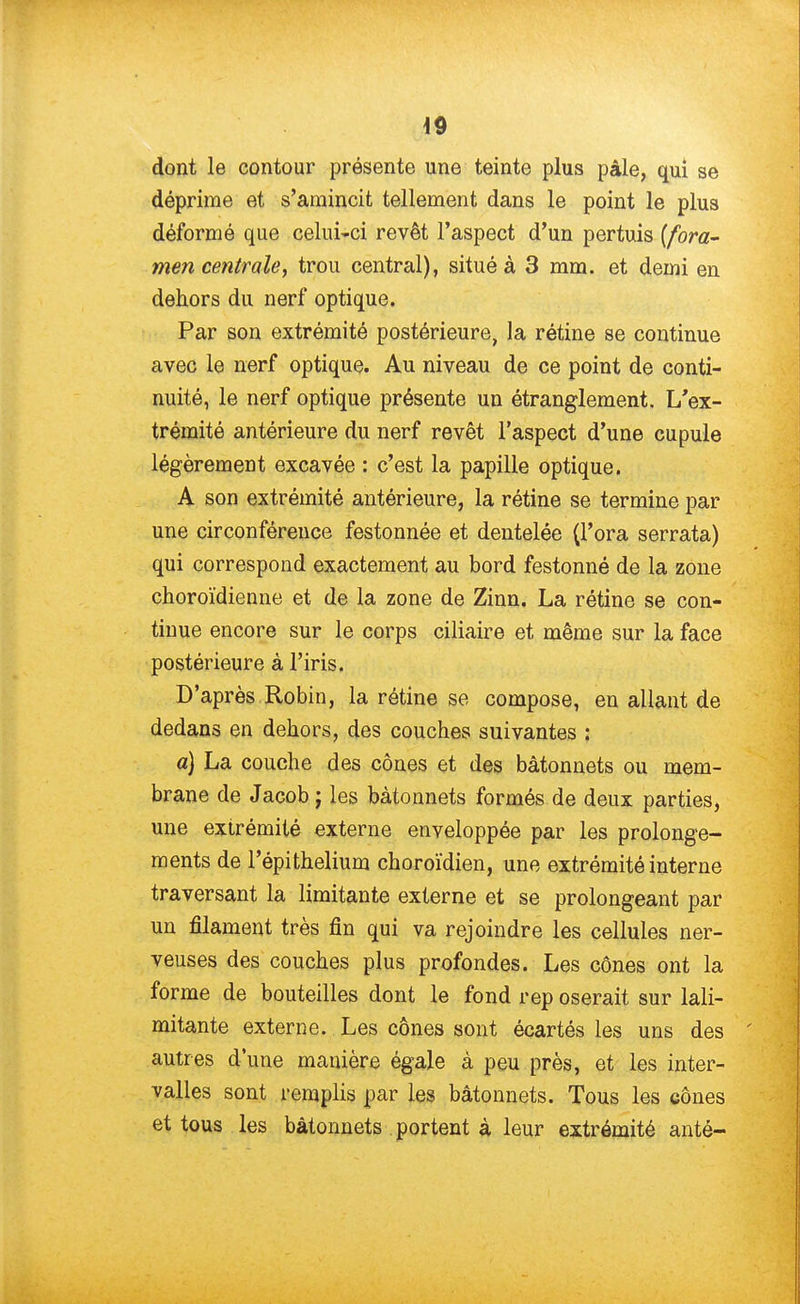 dont le contour présente une teinte plus pâle, qui se déprime et s'amincit tellement dans le point le plus déformé que celui-ci revêt l'aspect d'un pertuis [fora- men centrale, trou central), situé à 3 mm. et demi en dehors du nerf optique. Par son extrémité postérieure, la rétine se continue avec le nerf optique. Au niveau de ce point de conti- nuité, le nerf optique présente un étranglement. L'ex- trémité antérieure du nerf revêt l'aspect d'une cupule légèrement excavée : c'est la papille optique. A son extrémité antérieure, la rétine se termine par une circonférence festonnée et dentelée (l'ora serrata) qui correspond exactement au bord festonné de la zone choroïdienne et de la zone de Zinn. La rétine se con- tinue encore sur le corps ciliaire et même sur la face postérieure à l'iris. D'après Robin, la rétine se compose, en allant de dedans en dehors, des couches suivantes : a) La couche des cônes et des bâtonnets ou mem- brane de Jacob ; les bâtonnets formés de deux parties, une extrémité externe enveloppée par les prolonge- ments de l'épithelium choroïdien, une extrémité interne traversant la limitante externe et se prolongeant par un filament très fin qui va rejoindre les cellules ner- veuses des couches plus profondes. Les cônes ont la forme de bouteilles dont le fond rep oserait sur lali- mitante externe. Les cônes sont écartés les uns des autres d'une manière égale à peu près, et les inter- valles sont remplis par les bâtonnets. Tous les cônes et tous les bâtonnets portent à leur extrémité anté-