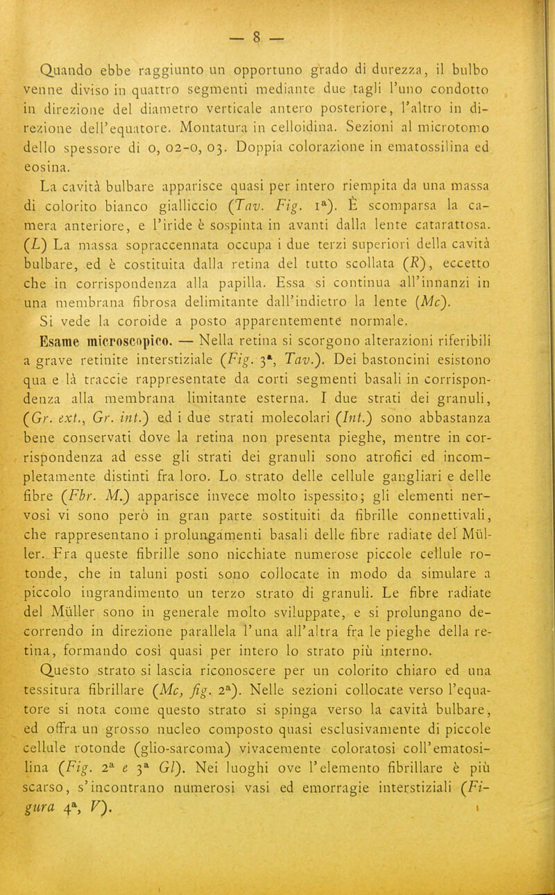 venne diviso in quattro segmenti mediante due tagli l'uno condotto in direzione del diametro verticale antero posteriore, l'altro in di- re;cione dell'equatore. Montatura in celloidina. Sezioni al microtomo dello spessore di o, 02-0, 03. Doppia colorazione in ematossilina ed cosina. La cavità bulbare apparisce quasi per intero riempita da una massa di colorito bianco gialliccio (Tnv. Fig. i*). È scomparsa la ca- mera anteriore, e l'iride è sospinta in avanti dalla lente catarattosa. (L) La massa sopraccennata occupa i due terzi superiori della cavità bulbare, ed è costituita dalla retina del tutto scollata (1?), eccetto che in corrispondenza alla papilla. Essa si continua all'innanzi in una membrana fibrosa delimitante dall'indietro la lente [Me). Si vede la coroide a posto apparentemente normale. Esame microscnpico. — Nella retina si scorgono alterazioni riferibili a grave retinite interstiziale (F/^. 3*, Tav.). Dei bastoncini esistono qua e là traccie rappresentate da corti segmenti basali in corrispon- denza alla membrana limitante esterna. I due strati dei granuli, (Gr. ext., Gr. int.) e.d i due strati molecolari (Int.) sono abbastanza bene conservati dove la retina non presenta pieghe, mentre in cor- rispondenza ad esse gli strati dei granuli sono atrofici ed incom- pletamente distinti fra loro. Lo strato delle cellule gangliari e delle fibre (Fbr. M.) apparisce invece molto ispessito; gli elementi ner- vosi vi sono però in gran parte sostituiti da fibrille connettivali, che rappresentano i prolungamenti basali delle fibre radiate del Mul- ler. Fra queste fibrille sono nicchiate numerose piccole cellule ro- tonde, che in taluni posti sono collocate in modo da simulare a piccolo ingrandimento un terzo strato di granuli. Le fibre radiate del Mùller sono in generale molto sviluppate, e si prolungano de- correndo in direzione parallela l'una all'altra fra le pieghe della re- tina, formando così quasi per intero lo strato più interno. Questo strato si lascia riconoscere per un colorito chiaro ed una tessitura fibrillare {Me, fig. 2*). Nelle sezioni collocate verso l'equa- tore si nota come questo strato si spinga verso la cavità bulbare, ed offra un grosso nucleo composto quasi esclusivamente di piccole cellule rotonde (glio-sarcoma) vivacemente coloratosi coll'ematosi- lina (Fig. 2^ e 3* Gi). Nei luoghi ove l'elemento fibrillare è più scarso, s'incontrano numerosi vasi ed emorragie interstiziali (Fi- giira 4*, V^, I