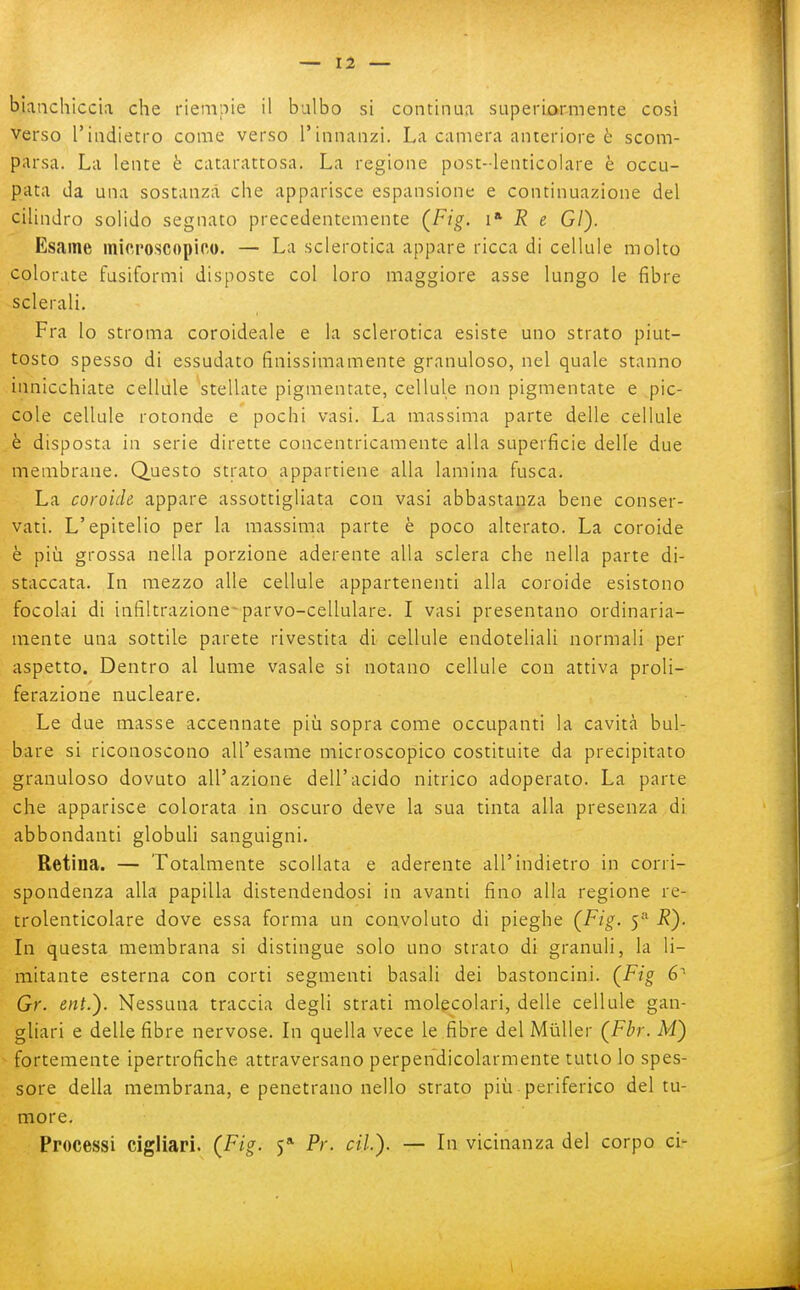 bianchiccia che riempie il balbo si continua superiormente cosi Verso rindietro come verso l'innanzi. La camera anteriore è scom- parsa. La lente è catarattosa. La regione post-lenticolare è occu- pata da una sostanza che apparisce espansione e continuazione del cilindro solido segnato precedentemente (Fig. i'- R e Gl). Esame microscopico. — La sclerotica appare ricca di cellule molto colorate fusiformi disposte col loro maggiore asse lungo le fibre sclerali. Fra lo stroma coroideale e la sclerotica esiste uno strato piut- tosto spesso di essudato finissimamente granuloso, nel quale stanno innicchiate cellule stellate pigmentate, cellule non pigmentate e pic- cole cellule rotonde e pochi vasi. La massima parte delle cellule è disposta in serie dirette concentricamente alla superficie delle due membrane. Q.uesto strato appartiene alla lamina fusca. La coroide appare assottigliata con vasi abbastanza bene conser- vati. L'epitelio per la massima parte è poco alterato. La coroide è più grossa nella porzione aderente alla sclera che nella parte di- staccata. In mezzo alle cellule appartenenti alla coroide esistono focolai di infiltrazione-parvo-cellulare. I vasi presentano ordinaria- mente una sottile parete rivestita di cellule endoteliali normali per aspetto. Dentro al lume vasale si notano cellule con attiva proli- ferazione nucleare. Le due masse accennate più sopra come occupanti la cavità bui- bare si riconoscono all'esame microscopico costituite da precipitato granuloso dovuto all'azione dell'acido nitrico adoperato. La parte che apparisce colorata in oscuro deve la sua tinta alla presenza di abbondanti globuli sanguigni. Retina. — Totalmente scollata e aderente all'indietro in corri- spondenza alla papilla distendendosi in avanti fino alla regione re- trolenticolare dove essa forma un convoluto di pieghe (Fig. 5 R). In questa membrana si distingue solo uno strato di granuli, la li- mitante esterna con corti segmenti basali dei bastoncini. (Fig 6' Gr. ent.). Nessuna traccia degli strati molecolari, delle cellule gan- gliari e delle fibre nervose. In quella vece le fibre del MùUer (^Fbr. M) fortemente ipertrofiche attraversano perpendicolarmente tutto lo spes- sore della membrana, e penetrano nello strato più-periferico del tu- more. Processi cigliari. (Fig. 5* Pr. cil). — In vicinanza del corpo ci-