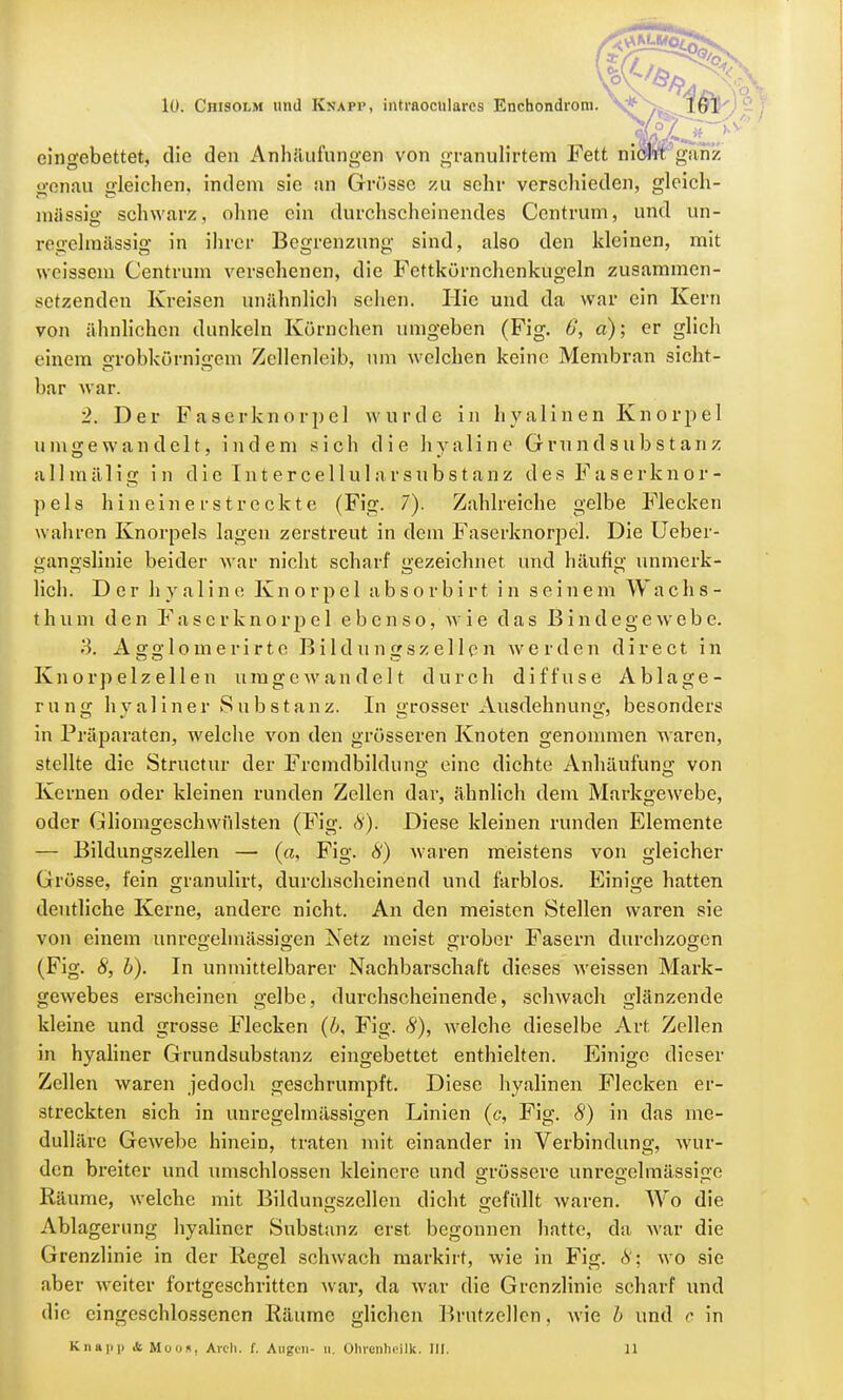 eingebettet, die den Anhäufungen von granulirtem Fett nicht ganz genau gleichen, indem sie an Grösse zu sehr verschieden, gleich- raässig schwarz, ohne ein durchscheinendes Centrum, und un- regelmässig in ihrer Begrenzung sind, also den kleinen, mit weissem Centrum versehenen, die Fettkörnchenkugeln zusammen- setzenden Kreisen an ähnlich sehen. Hie und da war ein Kern von ähnlichen dunkeln Körnchen umgeben (Fig. 0, a); er glich einem grobkörnigem Zellenleib, um welchen keine Membran sieht- bar war. 2. Der Faserknorpel wurde in hyalinen Knorpel umgewandelt, indem sich die hyaline Grundsubstanz a 11 mälig in die Interce 11 u 1 arsubstanz des Faserknor- pels hin ein erstreckte (Fig. 7). Zahlreiche gelbe Flecken wahren Knorpels lagen zerstreut in dem Faserknorpel. Die Ueber- gangslinie beider war nicht scharf gezeichnet und häufig unmerk- lich. Der hyaline Knorpel absorbirt in seinem Wachs- t h u m den F a s e r k n o r p e 1 ebenso, wie das ß i n d e g e w e b e. 3. Agglomerirte B i 1 d u n g sz el 1 e n Aver den dir e et in Knorpelzellen umgewandelt durch diffuse Ablage- rung hyaliner Substanz. In grosser Ausdehnung, besonders in Präparaten, welche von den grösseren Knoten genommen waren, stellte die Structur der Fremdbilduno; eine dichte Anhäufung von Kernen oder kleinen runden Zellen dar, ähnlich dem Markgewebe, oder Gliomgeschwüisten (Fig. 8)i Diese kleinen runden Elemente — Bildungszellen — («, Fig. 8) waren meistens von gleicher Grösse, fein granulirt, durchscheinend und farblos. Einige hatten deutliche Kerne, andere nicht. An den meisten Stellen waren sie von einem unregelraäsaigen Netz meist grober Fasern durchzogen (Fig. 8, b). In unmittelbarer Nachbarschaft dieses weissen Mark- gewebes erscheinen gelbe, durchscheinende, schwach glänzende kleine und grosse Flecken (b, Fig. 8), welche dieselbe Art Zellen in hyaliner Grundsubstanz eingebettet enthielten. Einige dieser Zellen waren jedoch geschrumpft. Diese hyalinen Flecken er- streckten sich in unregelmässigen Linien (c, Fig. 8) in das me- dulläre Gewebe hinein, traten mit einander in Verbindung, wür- den breiter und umschlossen kleinere und grössere unregelmässige Bäume, welche mit Bildungszellen dicht gefüllt waren. Wo die Ablagerung hyaliner Substanz erst begonnen hatte, da war die Grenzlinie in der Kegel schwach markirt, wie in Fig. 8; wo sie aber weiter fortgeschritten war, da war die Grenzlinie scharf und die eingeschlossenen Räume glichen Brntzellcn. wie b und c in