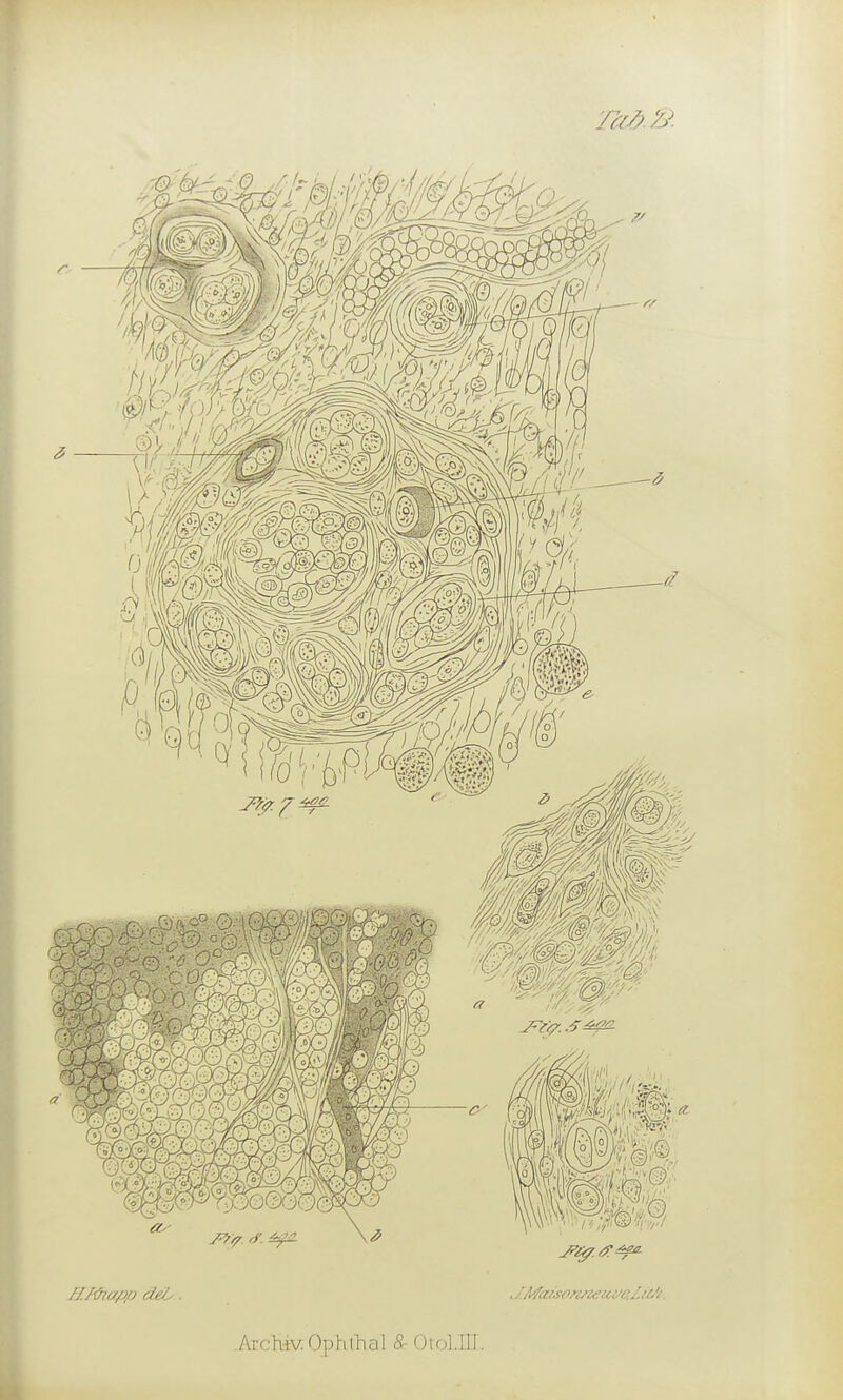 Archiv.Ophthal Ä- Otol.III.