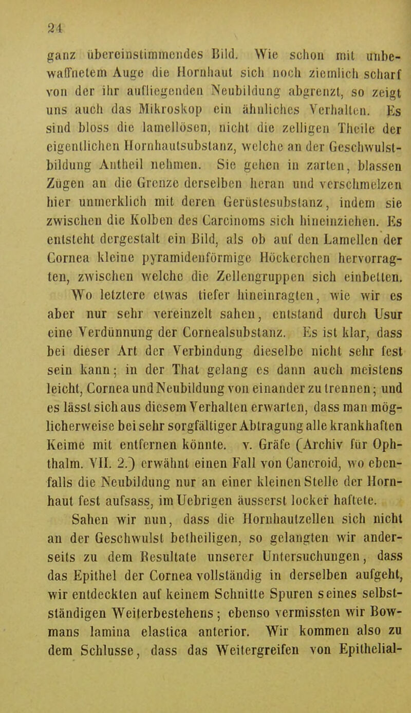 ganz übcreiiistiramcndes Bild. Wie schon mit unbe- wafTiielem Auge die Hornhaut sich noch ziemlich scharf von der ihr aufliegenden Neubildung abgrenzt, so zeigt uns auch das Mikroskop ein ähnliches Verhalten. Es sind bloss die lamellösen, nicht die zelligen Theile der eigentlichen Hornhautsubstanz, welche an der Geschwulsl- bildung Anllieil nehmen. Sie gehen in zarten, blassen Ziigen an die Grenze derselben heran und verschmelzen hier unmerklich mit deren Gerüstesubslanz, indem sie zwischen die Kolben des Carcinoms sich hineinziehen. Es entsteht dergestalt ein Bild, als ob auf den Lamellen der Cornea kleine pyramidenförmige Höckcrchen hervorrag- ten, zwischen welche die Zellengruppen sich einbetten. Wo letztere etwas tiefer hineinragten, wie wir es aber nur sehr vereinzelt sahen, entstand durch Usur eine Verdünnung der Cornealsubstanz. Es ist klar, dass bei dieser Art der Verbindung dieselbe nicht sehr fest sein kann; in der That gelang es dann auch meistens leicht, Cornea und Neubildung von einander zu trennen; und es lässl sich aus diesem Verhallen erwarten, dass man mög- licherweise bei sehr sorgfältiger Abtragung alle krankhaften Keime mit entfernen könnte, v. Gräfe (Archiv für Oph- thalm. VII. 2.3 erwähnt einen Fall von Cancroid, wo eben- falls die Neubildung nur an einer kleinen Stelle der Horn- haut fest aufsass, im Uebrigen äusserst locker haftete. Sahen wir nun, dass die Hornhautzelleu sich nicht an der Geschwulst belheiligen, so gelangten wir ander- seits zu dem Resultate unserer Untersuchungen, dass das Epithel der Cornea vollständig in derselben aufgehl, wir entdeckten auf keinem Schnitte Spuren seines selbst- sländigen Weiterbestehens ; ebenso vermissten wir Bow- mans lamiua elaslica anterior. Wir kommen also zu dem Schlüsse, dass das Weitergreifen von Epithelial-