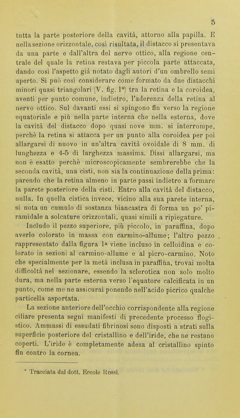 tutta la parte posteriore della cavità, attorno alla papilla. E nellasezione orizzontale, così risultata, il distacco si presentava da una parte e dall'altra del nervo ottico, alla regione cen- trale del quale la retina restava per piccola parte attaccata, dando così l'aspetto già notato dagli autori d'un ombrello semi aperto. Si può così considerare come formato da due distacchi minori quasi triangolari (V. fig. 1*) tra la retina e la coroidea, aventi per punto comune, indietro, l'aderenza della retina al nervo ottico. Sul davanti essi si spingono fin verso la regione equatoriale e piìi nella parte interna che nella esterna, dove la cavità del distacco dopo quasi nove mm. si interrompe, perchè la retina si attacca per un punto alla coroidea per poi allargarsi di nuovo in un'altra cavità ovoidale di 8 mm. di lunghezza e 4-5 di larghezza massima. Dissi allargarsi, ma non è esatto perchè microscopicamente sembrerebbe che la seconda cavità, una cisti, non sia la continuazione della prima: parendo che la retina almeno in parte passi indietro a formare la parete posteriore della cisti. Entro alla cavità del distacco, nulla. In quella cistica invece, vicino alla sua parete interna, si nota un cumulo di sostanza biancastra di forma un po' pi- ramidale a solcature orizzontali, quasi simili a ripiegature. Includo il pezzo superiore, più piccolo, in paraffina, dopo averlo colorato in massa con carmino-allume; l'altro pezzo rappresentato dalla figura 1» viene incluso in celloidina e co- lorato in sezioni al carmino-allume e al picro-carmino. Noto che specialmente per la metà inclusa in paraffina, trovai molta difficoltà nel sezionare, essendo la sclerotica non solo molto dura, ma nella parte esterna verso l'equatore calcificata in un punto, come me ne assicurai ponendo nell'acido picrico qualche particella asportata. La sezione anteriore dell'occhio corrispondente alla regione ciliare presenta segni manifesti di precedente processo flogi- stico. Ammassi di essudati fibrinosi sono disposti a strati sulla superficie posteriore del cristallino e dell'iride, che ne restano coperti. L'iride è completamente adesa al cristallino spinto fin contro la cornea.