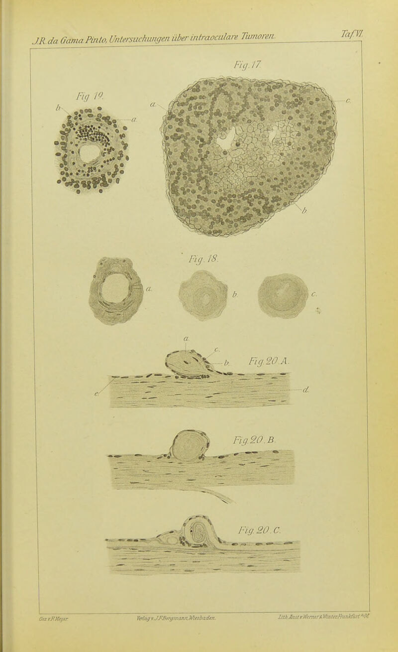 Fig. 17. an vF.MyiT Vrtag UFBirgmannMesbaden. LithSnstr.Wemen WmUt:FrankruHm