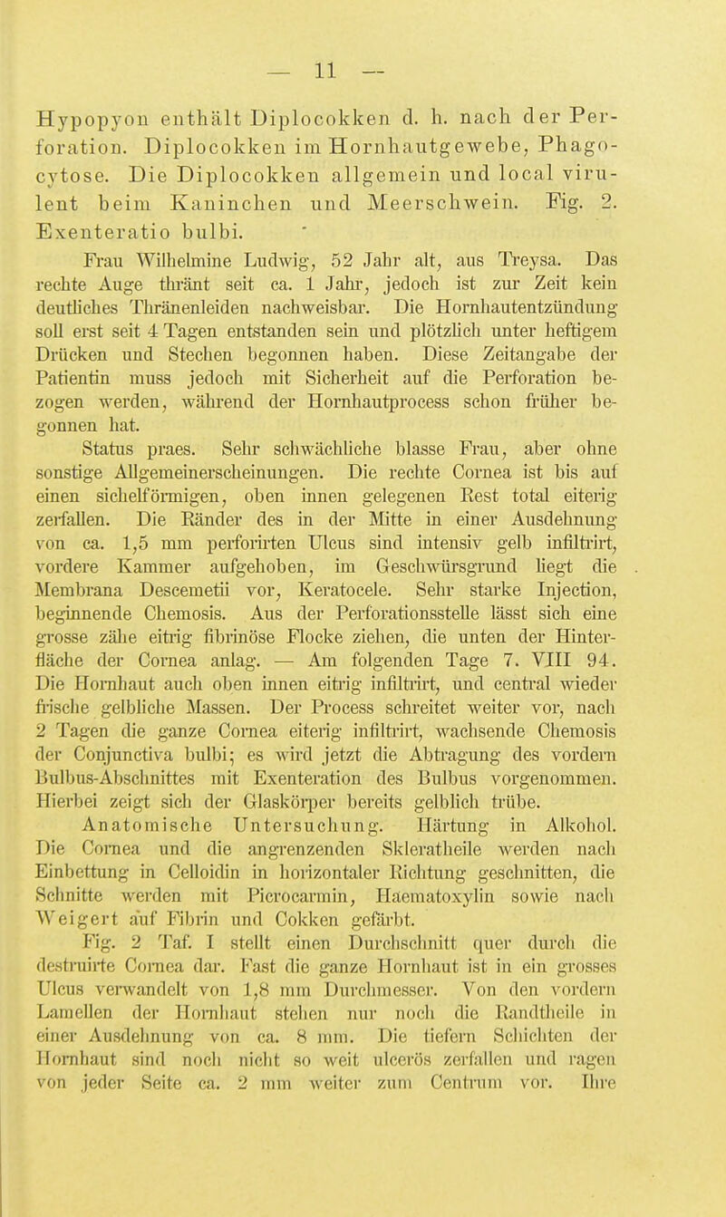 Hypopyon enthält Diplocokken d. h. nach der Per- foration. Diplocokkeu im Hornhantgewebe, Phagn- cytose. Die Diplocokken allgemein und local viru- lent beim Kaninchen und Meerschwein. Fig. 2. Exenteratio bulbi. Frau Wilhelmine Ludwig, 52 Jahr alt, aus IVeysa. Das rechte Auge thränt seit ca. 1 Jahr, jedoch ist zur Zeit kein deutliches Thränenleiden nachweisbar. Die Hornhautentzündung soll erst seit 4 Tagen entstanden sein und plötzhch unter heftigem Drücken und Stechen begonnen haben. Diese Zeitangabe der Patientin muss jedoch mit Sicherheit auf die Perforation be- zogen werden, während der Hornhautprocess schon früher be- gonnen hat. Status praes. Sehr schwächliche blasse Frau, aber ohne sonstige Allgemeinerscheinungen. Die rechte Cornea ist bis auf einen sichelfönnigen, oben innen gelegenen Rest total eiterig zerfallen. Die Eänder des in der Mtte in einer Ausdehnimg von ca. 1,5 mm perfonrten Ulcus sind intensiv gelb iafilti'irt, vordere Kammer aufgehoben, im Geschwüi'sgrund Megt die Membrana Descemetii vor, Keratocele. Sehr starke Injection, beginnende Chemosis. Aus der Perforationsstelle lässt sich eine grosse zähe eitrig fibrinöse Flocke ziehen, die unten der Hinter- fläche der Cornea anlag. — Am folgenden Tage 7. VIII 94. Die Homliaut auch oben innen eiti'ig infiltiii't, und centi'al wieder fi'ische gelbliche Massen. Der Process schreitet weiter vor, nach 2 Tagen die ganze Cornea eiterig infilti'irt, wachsende Chemosis der Conjunctiva bulbi; es wird jetzt die Abtragung des vordem Bulbus-Absclmittes mit Exenteration des Bulbus vorgenommen. Hierbei zeigt sich der Glasköiiier bereits gelblich trübe. Anatomische Untersuchung. Härtung in Alkohol. Die Coniea und die angrenzenden Skleratheile werden nach Einbettung in Celloidin in horizontaler Richtung geschnitten, die Schnitte werden mit Picrocarmin, Haematoxylin sowie nach Weigert auf Fibrin und Cokken gefärbt. Fig. 2 Taf. I stellt einen Durchschnitt quer durch die destrairte Cornea dar. Fast die ganze Hornhaut ist in ein grosses Ulcus verwandelt von 1,8 mm Durchmesser. Von den vordem LameUen der Homliaut stehen nur noch die Randtheile in einer Ausdehnung von ca. 8 mm. Die tiefern Schichten der Hornhaut sind noch nicht so weit ulcerös zerfallen und ragen von jeder Seite ca. 2 mm weiter zum Centrum vor. Ihre