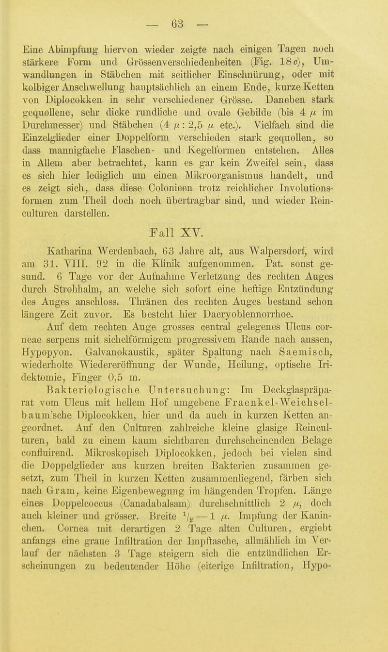 Eine Abimpfiing hiervon wieder zeigte nach einigen Tagen noch stäi'kere Form und Grössenverscliiedenlieiten (Fig. 18c), Um- wandlungen in Stäbchen mit seitlicher Einschnürung, oder mit kolbiger Anschwellung hauptsächlich an einem Ende, kurze Ketten von Diplocokken in sehr verschiedener Grösse. Daneben stark gequollene, sehi* dicke randlicbe und ovale Gebilde (bis 4 (W im Dm'chraesser) und Stäbchen (4 fx: 2,5 ß etc.). Vielfach sind die Einzelglieder einer Doppelfonn verschieden stark gequollen, so dass mannigfache Flaschen- und Kegelformen entstehen. Alles in Allem aber beti'achtet, kann es gai kein Zweifel sein, dass es sich hier lediglich um einen Mikroorganismus handelt, und es zeigt sich, dass diese Colonieen trotz reichlicher Involutions- fbnnen zum Theil doch noch überü-agbai' sind, und wieder Rein- cultm'en dai-stellen. Fall Xy. Kathai-ina Werdenbach, 63 Jahre alt, aus Walpersdorf) wird am 31. VIII. 92 in die Khnik aufgenommen. Fat. sonst ge- sund. 6 Tage vor der Aufnalime Verletzung des rechten Auges durch Sü'ohhalm, an welche sich sofort eine heftige Entzündung des Auges anschloss. Thränen des rechten Auges bestand schon längere Zeit zuvor. Es besteht hier Dacryoblennorrhoe. Auf dem rechten Auge grosses centi'al gelegenes Ulcus cor- neae serpens mit sichelförmigem progressivem Rande nach aussen, Hj'popyon. Galvanokaustik, später Spaltung nach Saeraisch, wiederholte Wiedereröfthung der Wunde, Heilung, optische Iri- dektomie, Finger 0,5 m. Bakteriologische Untersuchung: Im Deckglaspräpa- rat vom Ulcus mit hellem Hof umgebene Fraenkel-Weichsel- baum'sche Diplocokken, hier und da auch in km'zen Ketten an- geordnet. Auf den Culturen zaldreiche kleine glasige Reincul- turen, bald zu einem kaum sichtbaren durchscheinenden Belage confluirend. Mikroskopiscli Diplocokken, jedocli bei vielen sind die Doppelglieder aus kurzen breiten Bakterien zusammen ge- setzt, zum Theil in km-zen Ketten zusammenliegend, färben sich nach Gram, keine Eigenbewegung im hängenden Tropfen. Länge eines Doppelcoccus (Canadabalsam; durchschnittlich 2 fx, doch auch kleiner und grösser. Breite Vü — 1 i- Impfting der Kanin- chen. CoiTiea mit deraiügen 2 Tage alten Culturen, ergiebt anfangs eine gi'aue Infiltration der Impfta.sche, allniälilich im Ver- lauf der nächsten 3 Tage steigern sich die entzündlichen Er- scheinungen zu bedeutender Höhe (eiterige Infiltration, llypo-