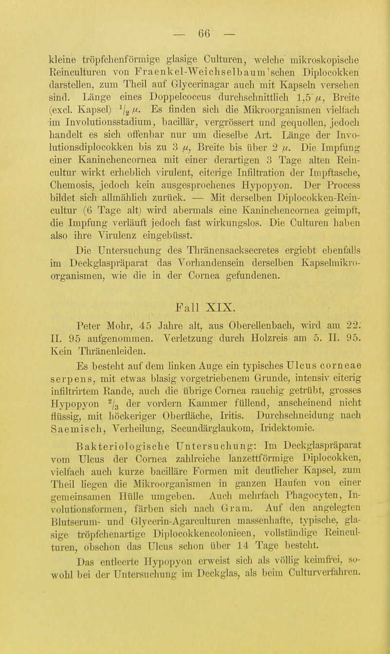 Ideine ü-öpfclienförmige glasige Culturen, welclie mikroskopische Eeinculturen von Fraenkel-Weichselbaum'sclien Diplocokken dai'steUen, zum Tlieil auf Glycerinagar auch mit Kapseln versehen sind. Länge eines Doppelcoccus durchschnittlich 1,5>, Breite (excl. Kapsel) i^-. Es finden sich die Müvroorganismen vielfach im Involutionsstadium, bacillär, vergrössert und gequollen, jedoch handelt es sicli offenbar nur um dieselbe Art. Länge der Invo- lutionsdiploeokken bis zu .3 (i, Breite bis über 2 ix. Die Impfung einer Kaninchencornea mit einer derartigen 3 Tage alten Rein- cultur wirkt erheblich ^•irulent, eiterige Infilü-ation der Inipftasche, Chemosis, jedoch kein ausgesprochenes Hypopyon. Der Process bildet sich allmähüch zurtick. — Mit derselben Diplocokken-Rein- cultur (6 Tage alt) wird abermals eine Kaninchencornea geimpft, die Impfung verläuft jedoch fast wirkungslos. Die Cultm-en haben also ihre Virulenz eingebüsst. Die Untersuchung des Thränensacksecretes ergiebt ebenfalls im Deckglaspräparat das Vorhandensein derselben Kapselmikm- organismen, wie die in der Cornea gefundenen. Fall XIX. Peter Mohr, 45 Jahre alt, aus Oberellenbach, wird am 22. II. 95 aufgenommen. Verletzung dm-ch Holzreis am 5. II. 95. Kein Thi'änenleiden. Es besteht auf dem Unken Auge ein typisches Ulcus corneae serpens, mit etwas blasig vorgeü-iebenem Grunde, intensiv eiterig infiltrirtem Rande, auch die übrige Cornea rauchig geti'übt, grosses H}^)opyon ^/g der vordem Kammer füllend, anscheinend nicht flüssig, mit höckeriger Obei-fläche, Iritis. Durchschneidung nach Saemisch, Verheilung, Secundärglaukom, Iridektomie. Bakteriologische Untersuchung: Im Deckglaspräparat vom Ulcus der Coraea zalilreiche lanzettförmige Diplocoldven, vielfach auch kurze bacilläre Formen mit deutlicher Kapsel, zum Theil hegen die Mikroorganismen in ganzen Haufen von einer gemeinsamen Hülle umgeben. Auch mehrfach Phagocj^en, In- volutionsformen, färben sich nach Gram. Auf den angeleg-teu Blutserum- und Glycerin-Agai-culturen massenhalte, typische, gla- sige tröpfchenartige Diplocokkencolonieen, vollständige Reincul- turen, obschon das Ulcus schon über 14 Tage besteht. Das entleerte Hypopyon ei-weist sich als völlig kehufi-ei, so- wohl bei der Untersuchung im Deckglas, als beim Culturverfahren.