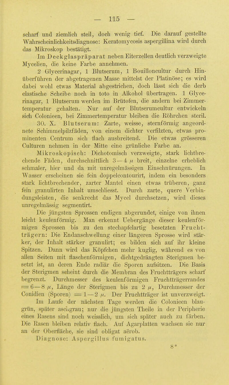 scharf und ziemlich steil, doch wenig tief. Die dai-auf gestellte Wahrscheinhchkeitsdiagnose: Keratomycosis aspergillina wh-d durch das Mila-oskop bestätigt. Im Deckglaspräparat neben Eiterzellen deutüch verzweigte Mycehen, die keine Fai'be annehmen. 2 Glycerinagai-, 1 Blutserum, 1 Bouilloncultui- dui-ch Hin- überführen der abgeti-agenen Masse mittelst der Platinöse; es wird dabei wohl etwas Material abgesti-ichen, doch lässt sich die derb elastische Scheibe noch in toto in All5ohol übei-ti-agen. 1 Glyce- rinagai-, 1 Blutsenim werden im Brütofen, die andern bei Zimmer- temperatur gehalten. Nm* auf der Blutserumcultur entwickeln sich Colonieen, bei Zimmertemperatur bleiben die Röhrchen steril. 30. X. Blutserum: Zarte, weisse, sternförmig angeord- nete Schimmelpilzfäden, von einem dichter verfilzten, etwas pro- minenten Centi'um sich flach ausbreitend. Die etwas grösseren Cultm-en nehmen in der Mitte eine gTünliche Fai'be an. Mikroskopisch: Dichotomisch verzweigte, stai'k hchtbre- chende Fäden, durchschnittlich 3 — 4 ,« breit, einzelne erhebüch schmaler, hier und da mit unregelmässigen Einschnüningen. In Wasser erscheinen sie fein doppelcontourirt, indem ein besonders stark üchtb rechend er, zai-ter Mantel einen etwas trüberen, ganz fein granulh'ten Inhalt umschliesst. Durch zai'te, quere Verbin- dungsleisten, die senkrecht das Mycel dui'chsetzen, wird dieses unregelmässig segmentü't. Die jüngsten Sprossen endigen abgerundet, einige von ihnen leicht keulenföiTüig. Man erkennt Uebergänge dieser keulenför- migen Sprossen bis zu den stechapfelai-tig besetzten Frucht- trägern: Die Endanschwellung einer längeren Sprosse wird stäi'- ker, der Inhalt stärker gi-anulirt; es bilden sich auf ihr kleine Spitzen. Dann wüd das Köpfchen mehr kugUg, wälu-end es von allen Seiten mit flaschenförmigen, dichtgedrängten Sterigmen be- setzt ist, an deren Ende radiär die Sporen aufsitzen. Die Basis der Sterigmen scheint dm-ch die Membran des Fi-uchtträgers schaif begi-enzt. Durchmesser des keulenförmigen Fi-uchtträgerrandes = 6—8 |M, Länge der Sterigmen bis zu 2 ^, Durchmesser der Conidien (Sporen) =1 — 2 fx. Der Fnichtträger ist unverzweigt. Im Laufe der nächsten Tage werden die Colonieen blau- gi1in, später aschgi-au; nur die jüngsten Theile in der Peripherie eines Easens sind noch weisslich, um sich später auch zu färben. Die Käsen bleiben relativ flach. Auf Agarplatten wachsen sie nm* an der Obeifläche, sie sind obligat aerob. Diagnose: Asi)crgillus fumigatus. 8*
