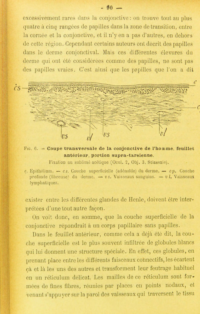 excessivement rares (liins la conjonclivc : on trouve tout au plus quatre à cinq rangées de papilles dans la zone de transition, entre la cornée et la conjonctive, et il n'y en a pas d'autres, en dehors de cette région. Cependant certains auteurs ont décrit des papilles dans le derme conjonctival. Mais ces différentes élevures du derme qui ont été considérées comme des papilles, ne sont pas des papilles vraies. C'est ainsi que les papilles que l'on a dit FiG. G. — Coupe transversale de la conjonctive de rhomme, feuillet antérieur, portion supra-tarsienne. Fixation au suljlimé acétique (Ocul. 2, Obj. 3. Stiassnie). e. Epilhéliuni. — es. Couche superficielle (adénoïde) du derme. — cp. Couche profoade (liljreuse) du derme. —us. Vaisseaux sanguins. —v i. Vaisseaux lymphatiques. exister entre les différentes glandes de Henle, doivent être inter- prétées d'une tout autre façon. On voit donc, en somme, que la couche superficielle de la conjonctive répondrait à un corps papillaire sans papilles. Dans le feuillet antérieur, comme cela a déjà été dit, la cou- che superficielle est le plus souvent infiltrée de globules blancs qui lui donnent une structure spéciale. En effet, ces globules, en prenant place entre les différents faisceaux coiincctifs, les écartent çà et là les uns des autres et transforment leur feutrage habituel en un réticulum délicat. Les mailles de ce réticulum sont for- mées de fines fibres, réunies par places en points nodaux, et venant s'appuyer sur la paroi des vaisseaux qui traversent le tissu