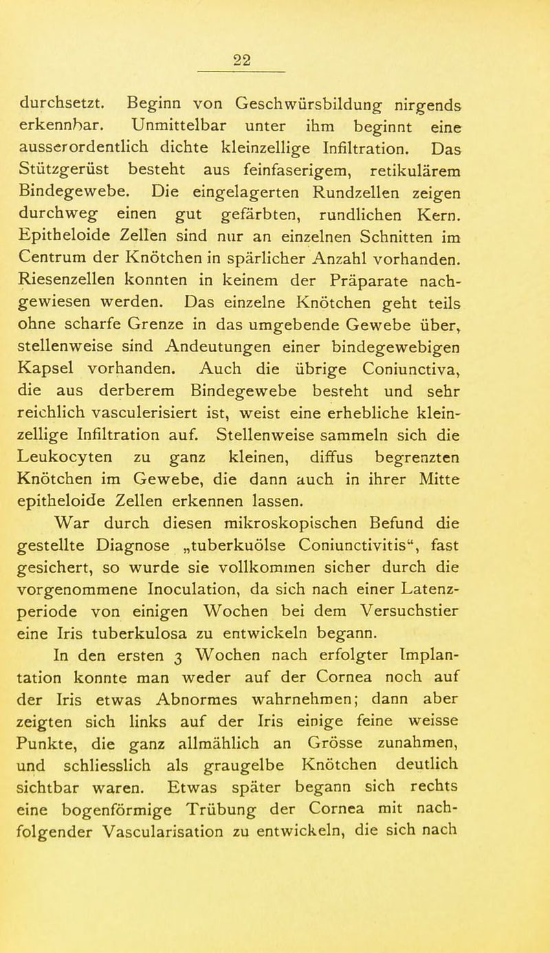 durchsetzt. Beginn von Geschwürsbildung nirgends erkennbar. Unmittelbar unter ihm beginnt eine ausserordentlich dichte kleinzellige Infiltration. Das Stützgerüst besteht aus feinfaserigem, retikulärem Bindegewebe. Die eingelagerten Rundzellen zeigen durchweg einen gut gefärbten, rundlichen Kern. Epitheloide Zellen sind nur an einzelnen Schnitten im Centrum der Knötchen in spärlicher Anzahl vorhanden. Riesenzellen konnten in keinem der Präparate nach- gewiesen werden. Das einzelne Knötchen geht teils ohne scharfe Grenze in das umgebende Gewebe über, stellenweise sind Andeutungen einer bindegewebigen Kapsel vorhanden. Auch die übrige Coniunctiva, die aus derberem Bindegewebe besteht und sehr reichlich vasculerisiert ist, weist eine erhebliche klein- zellige Infiltration auf. Stellenweise sammeln sich die Leukocyten zu ganz kleinen, diffus begrenzten Knötchen im Gewebe, die dann auch in ihrer Mitte epitheloide Zellen erkennen lassen. War durch diesen mikroskopischen Befund die gestellte Diagnose „tuberkuölse Coniunctivitis, fast gesichert, so wurde sie vollkommen sicher durch die vorgenommene Inoculation, da sich nach einer Latenz- periode von einigen Wochen bei dem Versuchstier eine Iris tuberkulosa zu entwickeln begann. In den ersten 3 Wochen nach erfolgter Implan- tation konnte man weder auf der Cornea noch auf der Iris etwas Abnormes wahrnehmen; dann aber zeigten sich links auf der Iris einige feine weisse Punkte, die ganz allmählich an Grösse zunahmen, und schliesslich als graugelbe Knötchen deutlich sichtbar waren. Etwas später begann sich rechts eine bogenförmige Trübung der Cornea mit nach- folgender Vascularisation zu entwickeln, die sich nach