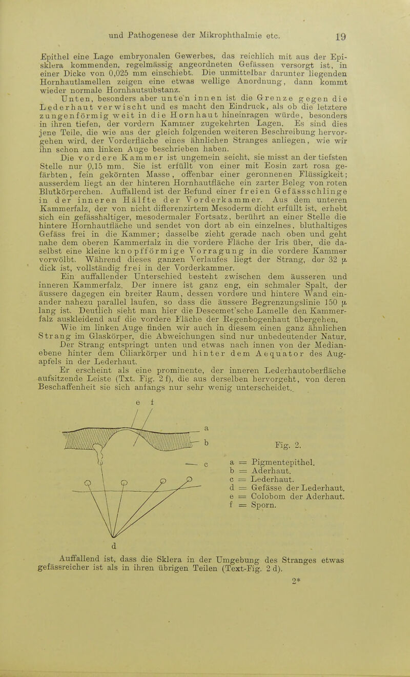 Epithel eine Lage embryonalen Gewerbes, das reichlich mit aus der Epi- sklera kommenden, regelmässig angeordneten Gelassen versorgt ist, in einer Dicke von 0,025 mm einschiebt. Die unmittelbar darunter liegenden Hornhautlamellen zeigen eine etwas wellige Anordnung, dann kommt wieder normale Hornhautsubstanz. Unten, besonders aber unten innen ist die Grenze gegen die Lederhaut verwischt und es macht den Eindruck, als ob die letztere zungenförmig weit in die Hornhaut hineinragen würde, besonders in ihren tiefen, der vordem Kammer zugekehrten Lagen. Es sind dies jene Teile, die wie aus der gleich folgenden weiteren Beschreibung hervor- gehen wird, der Vorderfläche eines ähnlichen Stranges anliegen, wie wir ihn schon am linken Auge beschrieben haben. Die vordere Kammer ist ungemein seicht, sie misst an der tiefsten Stelle nur 0,15 mm. Sie ist erfüllt von einer mit Eosin zart rosa ge- färbten, fein gekörnten Masse, offenbar einer geronnenen Flüssigkeit; ausserdem liegt an der hinteren Hornhautfläche ein zarter Beleg von roten Blutkörperchen. Auffallend ist der Befund einer freien Gefässschlinge in der inneren Hälfte der Vorderkammer. Aus dem unteren Kammerfalz, der von nicht diflerenzirtem Mesoderm dicht erfüllt ist, erhebt sich ein gefässhaltiger, mesodermaler Fortsatz, berührt an einer Stelle die hintere Hornhautfläche und sendet von dort ab ein einzelnes, bluthaltiges Gefäss frei in die Kammer; dasselbe zieht gerade nach oben und geht nahe dem oberen Kammerfalz in die vordere Fläche der Iris über, die da- selbst eine kleine knopfförmige Vorragung in die vordere Kammer vorwölbt. Während dieses ganzen Verlaufes liegt der Strang, der 32 u. dick ist, vollständig frei in der Vorderkammer. Ein auffallender Unterschied besteht zwischen dem äusseren und inneren Kammerfalz. Der innere ist ganz eng, ein schmaler Spalt, der äussere dagegen ein breiter Raum, dessen vordere und hintere Wand ein- ander nahezu parallel laufen, so dass die äussere Begrenzungslinie 150 f*. lang ist. Deutlich sieht man hier die Descemet'sche Lamelle den Kammer- falz auskleidend auf die vordere Fläche der Regenbogenhaut übergehen. Wie im linken Auge finden wir auch in diesem einen ganz ähnlichen Strang im Glaskörper, die Abweichungen sind nur unbedeutender Natur. Der Strang entspringt unten und etwas nach innen von der Median- ebene hinter dem Ciliarkörper und hinter dem Aequator des Aug- apfels in der Lederhaut. Er erscheint als eine prominente, der inneren Lederhautoberfläche aufsitzende Leiste (Txt. Fig. 2 f), die aus derselben hervorgeht, von deren Beschaffenheit sie sich anfangs nur sehr wenig unterscheidet. e f d Auffallend ist, dass die Sklera in der Umgebung des Stranges etwas gefässreicher ist als in ihren übrigen Teilen (Text-Fig. 2 d).