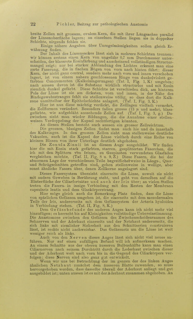 breite Zellen mit grossem, ovalem Kern, die mit ihrer Längsachse parallel der Linsonoberfläche lagern; an einzelnen Stellen liegen sie in doppelter Schichte, nirgends fehlen sie. Einige nähere Angaben über Unregelmässigkeiten sollen gleich Er- wähnung finden. Der Inhalt des Linsensackes lässt sich in mehrere Schichten trennen: wir können erstens einen Kern von ungefähr 0,7 mm Durchmesser unter- scheiden, der blassrote Eosinfärbung und anscheinend vollständigen Structur- mangel zeigt; nur bei starker Abbiendung des Lichtes erkennt man eine zarte Faserung, die in flachen Bögen von vorn nach hinten führt; dieser Kern, der nicht ganz central, sondern mehr nach vorn und innen verschoben lagert, ist von einem nahezu geschlossenen Ringe von dunkelviolett ge- färbten Concrementen (Kalkeinlagerungen) (Tat. I, Fig. 1, K) umgeben; nach aussen davon ist die Substanz wirklich structurlos und mit Eosin ziemlich dunkel gefärbt. Diese Schichte ist verschieden dick, am hinteren Pole der Linse ist sie am dicksten, vorn und innen, in der Nähe des Bindegewebsstranges fohlt sie stellenweise völlig, so dass dort die Kalk- zone unmittelbar der Epithelschichte anlagert. (Taf. I, Fig. 3, K.) Hier ist nun diese mächtig verdickt, die Zelllagen vielfach vermehrt, die Zellformen verändert. Besonders fallen grosse (13 u- und mehr), blass- gefärbte, wie aufgebläht aussehende Zellen auf. (Taf. I, Fig. 3, g.) Da- zwischen sieht man wieder Bildungen, die die Annahme einer stellen- weisen Verdoppelung der Kapsel rechtfertigen könnten. An diesen Stellen besteht auch aussen ein grosser Zellreichtum. Die grossen, blasigen Zellen findet man auch hie und da innerhalb des Kalkringes. In den grossen Zellen sieht man stellenweise deutliche Vakuolen, auch ist die Kapsel der Linse vielfach durch eine Eeihe von kleinen Blasen von ihrer Unterlage deutlich abgehoben. Die Zonula Zinnii ist an diesem Auge ausgebildet. Wir finden hier die mit Eosin stark gefärbten, starren, gesplitterten Fäserchen, die ich mit den Splittern vtm feinen, zu Gespinsten verwendeten Glasfäden vergleichen möchte. (Taf. II, Fig. 8 u. 9, Z.) Diese Fasern, die bei der abnormen Lage der verschiedenen Teile begreiflicherweise in Längs-, Quer- und Schrägschnitten getroffen sind, gehen stellenweise in wellige, aber sonst ähnliche Fasern über, denen Zellkerne angelagert sind. Dieses Fasersystem überzieht einerseits die Linse, soweit sie nicht mit andern Geweben in Berührung steht, und geht von derselben auf die Hinterfläche der Ciliarfortsätze und auch der Iris über; an vielen Stellen treten die Fasern- in innige Verbindung mit den Resten der Membrana capsularis lentis und dem Glaskörperstrang. Hier möge gleich auch die Bemerkung Platz finden, dass die Linse von spärlichen Gefässen umgeben ist, die einerseits mit dem mesodermalen Teile der Iris, andererseits mit dem Gefässsystem der Arteria hyaloidea in Verbindung stehen. (Taf. H, Fig. 8, K.) Dem Gefässbefunde des anderen Auges kann ich nicht mehr viel hinzufügen; es herrscht bis auf Kleinigkeiten vollständige Uebereinstimmung. Die Anastomose zwischen den Gefässen des Zwischenscheidenraumes des Sehnerven und der Aderhaut einerseits und der Netzhaut andererseits, die sich links mit ziemlicher Sicherheit aus den Schnittserien construierea lässt, ist rechts nicht nachweisbar. Das Gefässnetz um die Linse ist weit weniger reich als links. Auch von den Nerven dieses Auges lässt sich nicht viel neues an- führen. Nur auf einen zufälligen Befund will ich aufmerksam machen. An einem Schnitte aus der oberen äusseren Bulbushälfte kann man einen Ciliarnerven nach seinem Durchtritt durch die Lederhaut zwischen dieser und der Aderhaut weit nach vorn bis in die Gegend des Ciliarkörpers ver- folgen ; diese Nerven sind also ganz gut entwickelt. Wenn wir uns bei Betrachtung der im ganzen der des linken Auges ähnlichen Netzhaut zunächst dem äusseren Blatte zuwenden, so muss hervorgehoben werden, dass dasselbe überall der Aderhaut anliegt und gut ausgebildet ist; unten aussen ist es mit der Aderhaut zusammen abgehoben. An