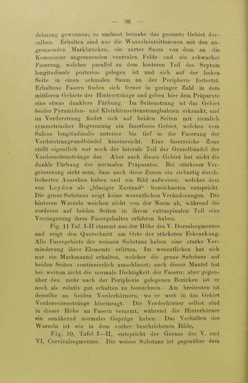 dehnuQg gewonnen; es umfasst beinahe das gesamte Gebiet diu-- selben. Erhalten sind nur die Wurzeleintrittszonen mit den an- grenzenden Markbrücken, ein zarter Saum von dem an die Kommissur angrenzenden ventralen Felde und ein schwacher Faserzug, welcher parallel zu dem hinteren Teil des Septum longitudinale posterius gelegen ist und sich auf der linken Seite in einen schmalen Saum an der Peripherie fortsetzt. Erhaltene Fasern finden sich ferner in geringer Zahl in dem mittleren Gebiete der Hinterstränge und geben hier dem Präparate eine etwas dunklere Färbung. Im Seitenstrang ist das Gebiet beider Pyramiden- und Kleinhirnseitenstrangbahnen erkrankt, und im Vorderstrang findet sich auf beiden Seiten mit ziemlich symmetrischer Begrenzung ein faserloses Gebiet, welches vom Sulcus longitudinalis anterior bis tief in die Faserung der Yorderstrangrundbündel hineinreicht. Eine faserreiche Zone stellt eigentlich nur noch der laterale Teil der Grundbündel der Vorderseitenstränge dar. Aber auch dieses Gebiet hat nicht die dunkle Färbung des normalen Präparates. Bei stärkerer Ver- grösserung sieht man, dass auch diese Zonen ein siebartig durch- löchertes Aussehen haben und ein Bild auf^veisen, welches dem von Leyden als „blasiger Zustand bezeichneten entspricht. Die graue Substanz zeigt keine wesentlichen Veränderungen. Die hinteren Wurzeln weichen nicht von der Norm ab, während die vorderen auf beiden Seiten in ihrem extraspinalen Teil eine Verringerung ihres Fasergehaltes erfahren haben. Fig. 11 Taf. I-II stammt aus der Höhe des V. Dorsalsegmentes und zeigt den Querschnitt am Orte der stärksten Erkrankung. Alle Fasergebiete der weissen Substanz haben eine starke Ver- minderung ihrer Elemente erlitten. Im wesentlichen hat sich nur ein Markmantel erhalten, welcher die graue Substanz auf beiden Seiten continuierlich umschliesst; auch dieser Mantel hat bei weitem nicht die normale Dichtigkeit der Fasern; aber gegen- über den mehr nach der Peripherie gelegenen Bezirken ist er noch als relativ gut erhalten zu bezeichnen. Am breitesten ist derselbe an beiden Vorderhörnern, wo er weit in das Gebiet Vorderseitenstränge hineinragt. Die Vorderhörner selbst sind in dieser Höhe an Fasern verarmt, während die Hinterhörner ein annähernd normales Gepräge haben. Das Verhalten der Wurzeln ist wie in dem vorher beschriebenen Bilde. Fig. 10, Tafel I—II, entspricht der Grenze des V. und VI. Cervicalsegmentes. Die weisse Substanz ist gegenüber dem