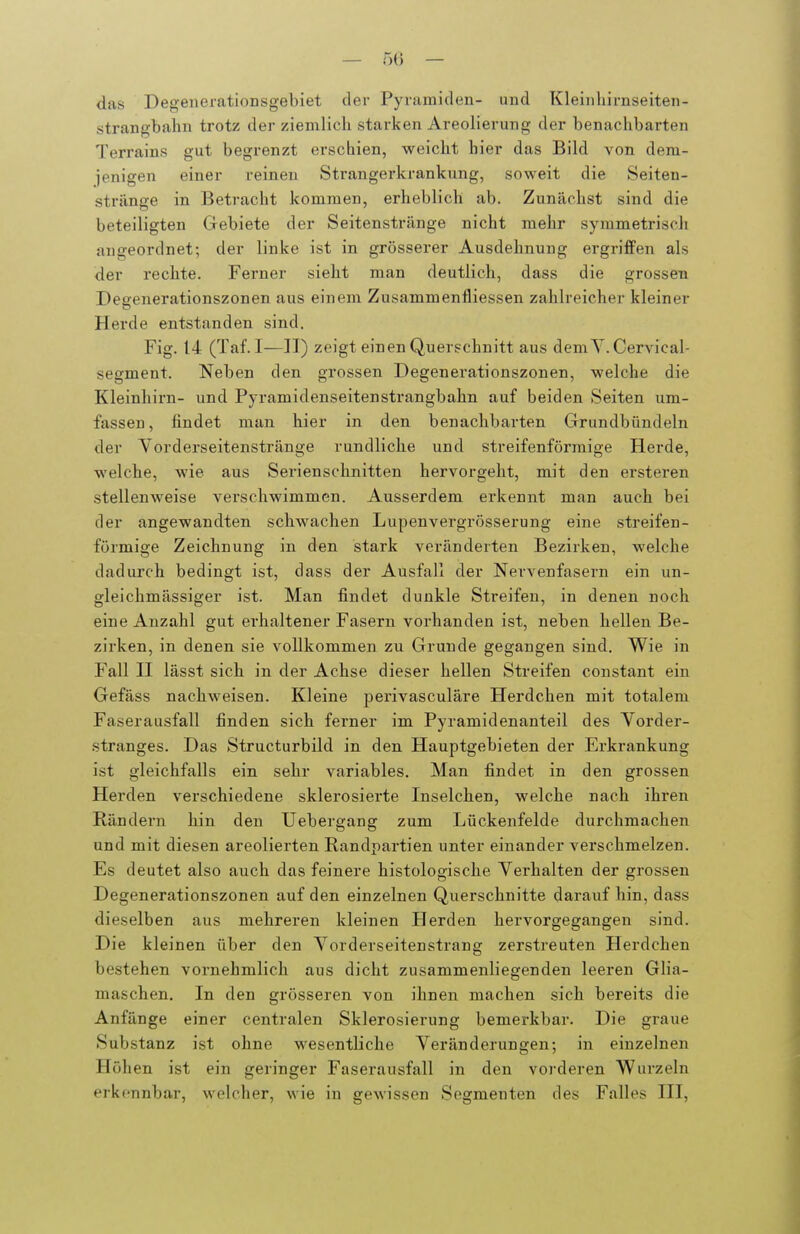 das Degenerationsgebiet der Pyramiden- und Kleinliirnseiten- strangbahn trotz der ziemlicli starken Areolierung der benachbarten Terrains gut begrenzt erschien, weicht hier das Bild von dem- jenigen einer reinen Strangerkrankung, soweit die Seiten- strilnge in Betracht kommen, erheblich ab. Zunächst sind die beteiligten Gebiete der Seitenstränge nicht mehr symmetriscli augeordnet; der linke ist in grösserer Ausdehnung ergriffen als der rechte. Ferner sieht man deutlich, dass die grossen Deeenerationszonen aus einem Zusammenfliessen zahlreicher kleiner Herde entstanden sind. Fig. 14 (Taf.I—II) zeigt einen Querschnitt aus dem Y. Cervical- segment. Neben den grossen Degenerationszonen, welche die Kleinhirn- und Pyramidenseitenstrangbahn auf beiden Seiten um- fassen, findet man hier in den benachbarten Grundbündeln der Yorderseitenstränge rundliche und streifenförmige Herde, welche, wie aus Serienschnitten hervorgeht, mit den ersteren stellenweise verschwimmen. Ausserdem erkennt man auch bei der angewandten schwachen Lupenvergrösserung eine streifen- förmige Zeichnung in den stark veränderten Bezirken, welche dadurch bedingt ist, dass der Ausfall der Nervenfasern ein un- gleichmässiger ist. Man findet dunkle Streifen, in denen noch eine Anzahl gut erhaltener Fasern vorhanden ist, neben hellen Be- zirken, in denen sie vollkommen zu Grunde gegangen sind. Wie in Fall II lässt sich in der Achse dieser hellen Streifen constant ein Gefäss nachweisen. Kleine perivasculäre Herdchen mit totalem Faserausfall finden sich ferner im Pyramidenanteil des Yorder- stranges. Das Structurbild in den Hauptgebieten der Erkrankung ist gleichfalls ein sehr variables. Man findet in den grossen Herden verschiedene sklerosierte Inselchen, welche nach ihren Rändern hin den Uebergang zum Lückenfelde durchmachen und mit diesen areolierten Randpartien unter einander verschmelzen. Es deutet also auch das feinere histologische Yerhalten der grossen Degenerationszonen auf den einzelnen Querschnitte darauf hin, dass dieselben aus mehreren kleinen Herden hervorgegangen sind. Die kleinen über den Yorderseitenstrang zerstreuten Herdchen bestehen vornehmlich aus dicht zusammenliegenden leeren Glia- maschen. In den grösseren von ihnen machen sich bereits die Anfänge einer centralen Sklerosierung bemerkbar. Die graue Substanz ist ohne wesentliche Yeränderungen; in einzelnen Höhen ist ein geringer Faserausfall in den vorderen Wurzeln erkennbar, welcher, wie in gewissen Segmenten des Falles III,