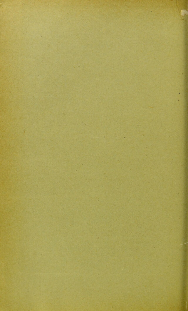 digitised image 2