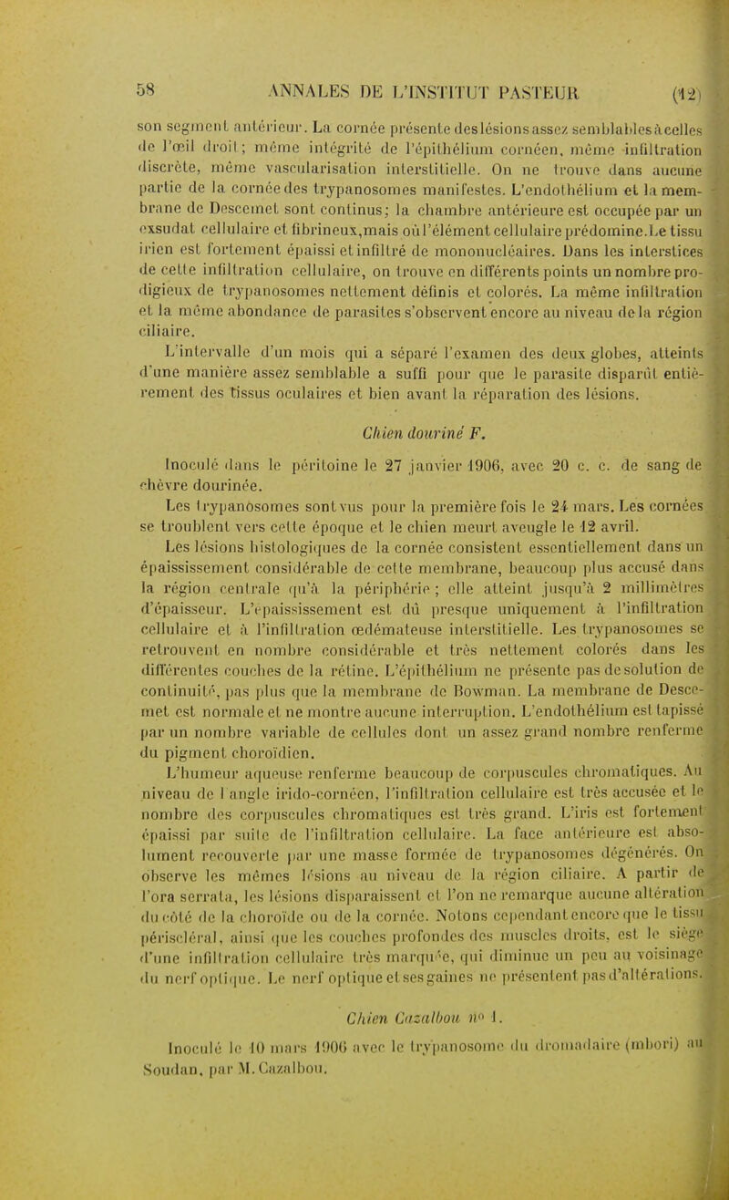 son seginciiL antérieur. La cornée présente deslésions assez semblables ileelles <lc l'œil (Iroil; même intégrité de répitbélium corncen, même infiltration discrète, même vasciilarisation interstitielle. On ne irouve dans aiicime partie de la cornée des trypanosomes manifestes. L'endothélium et la mem- brane de Descemet sont continus; la chambre antérieure est occupée par un exsudât cellulaire et fibrineux,mais où l'élément cellulaire prédomine.Le tissu irien est fortement épaissi et infiltré de mononucléaires. Dans les interstices de cette infiltration cellulaire, on trouve en dilTérents points un nombre pro- digieux de trypaiiosomes nettement définis et colorés. La même infiltration et la même abondance de parasites s'observent encore au niveau de la région ciliaire. L'intervalle d'un mois qui a séparé l'examen des deux globes, atteints d'une manière assez semblable a suffi pour que le parasite disparût entiè- rement des tissus oculaires et bien avant la réparation des lésions. Chien douriné F. Inoculé dans le péritoine le 27 janvier 1906, avec 20 c. c. de sang de chèvre dourinée. Les trypanosomes sont vus pour la première fois le 24 mars. Les cornées se troublent vers cotte époque et le chien meurt aveugle le 12 avril. Les lésions bislologiques de la cornée consistent essentiellement dans un épaississement considérable de cette membrane, beaucoup plus accusé dans la région centrale tpi'à la périphérie ; elle atteint jusqu'à 2 millimètres d'épaisseur. L'epaississement est dû presque uniquement à l'infiltration cellulaire et à l'infiltration œdémateuse interstitielle. Les trypanosomes se retrouvent en nombre considérable et très nettement colorés dans les différentes couches de la rétine. L'épithéliimi ne présente pas de solution de- continuité, pas plus que la membrane do Bowman. La membrane de Desce- met est normale et ne montre aucune interruption. L'endothélium est tapissé par un nombre variable de cellules dont un assez gi'and nombre renferme du pigment choroïdien. L'humeur aqueuse renferme beaucoup de corpuscules chromatiques. Au niveau de I angle irido-cornéen, l'infiltration cellulaire est très accusée et le nombre des corpuscules chromatiques est très grand. L'iris est fortem£n épaissi par suite de l'infiltration cellulaire. La face antérieure est abso jument recouverte juir une masse formée de trypanosojries dégénérés. 0 observe les mêmes h'sions au niveau de la région ciliaire. A partir d l'ora serrata, les lésions disparaissent et l'on ne remarque aucune alLératio du coté de la choroïde ou de la cornée. Notons cependant encore que le tiss périscléral, ainsi (|ue les couches profondes des nuisclcs droits, est le sièg d'une infillration cellulaire très marqu^-e, qui diminue un peu au voisinag du nerf optique. Le nerf optique et ses gaines ne présentent pas d'altérations Chien Cazallmi n J. Inoculé le H) mars I90G avec le try'panosoine du dromadaire (mbori) a Soudan, par M. Cazalbou.